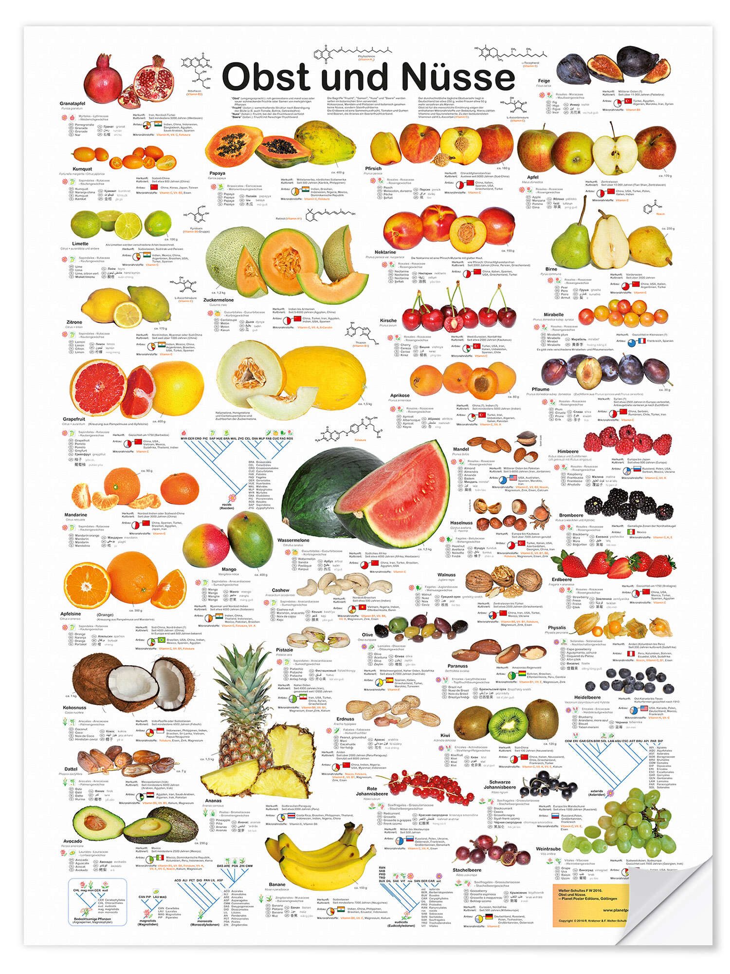 Posterlounge Poster Planet Poster Editions, Obst günstig online kaufen