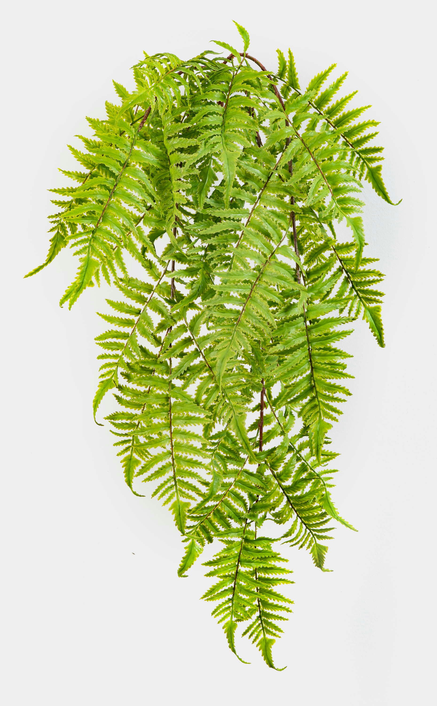 Künstliche Zimmerpflanze Kunst Zimtfarn Hänger Virgins auf Steckstab, grün, 60cm Farn (Zimtfarn), artplants, Höhe 60.0 cm