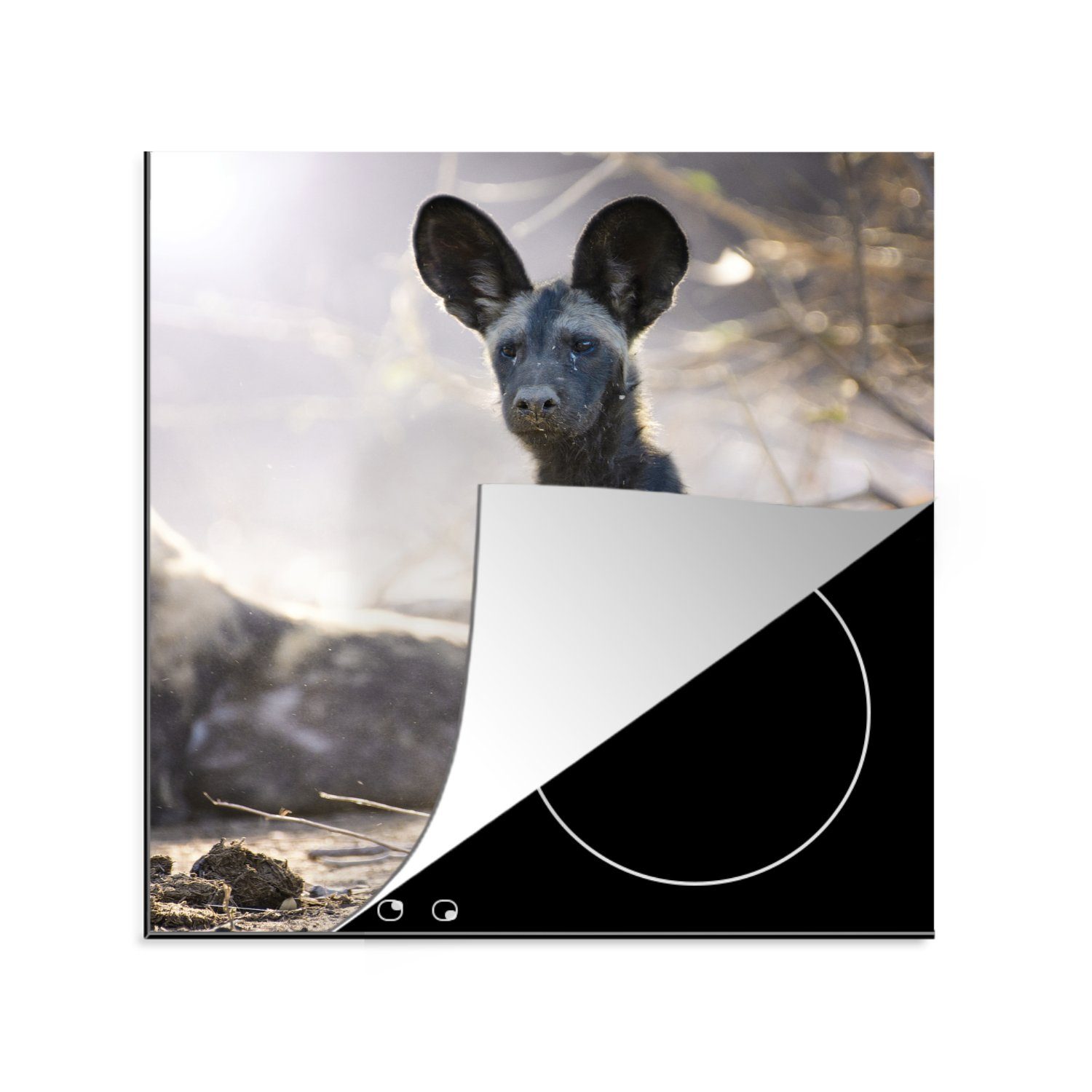 MuchoWow Herdblende-/Abdeckplatte Sitzender Afrikanischer Wildhund, Vinyl, (1 tlg), 78x78 cm, Ceranfeldabdeckung, Arbeitsplatte für küche