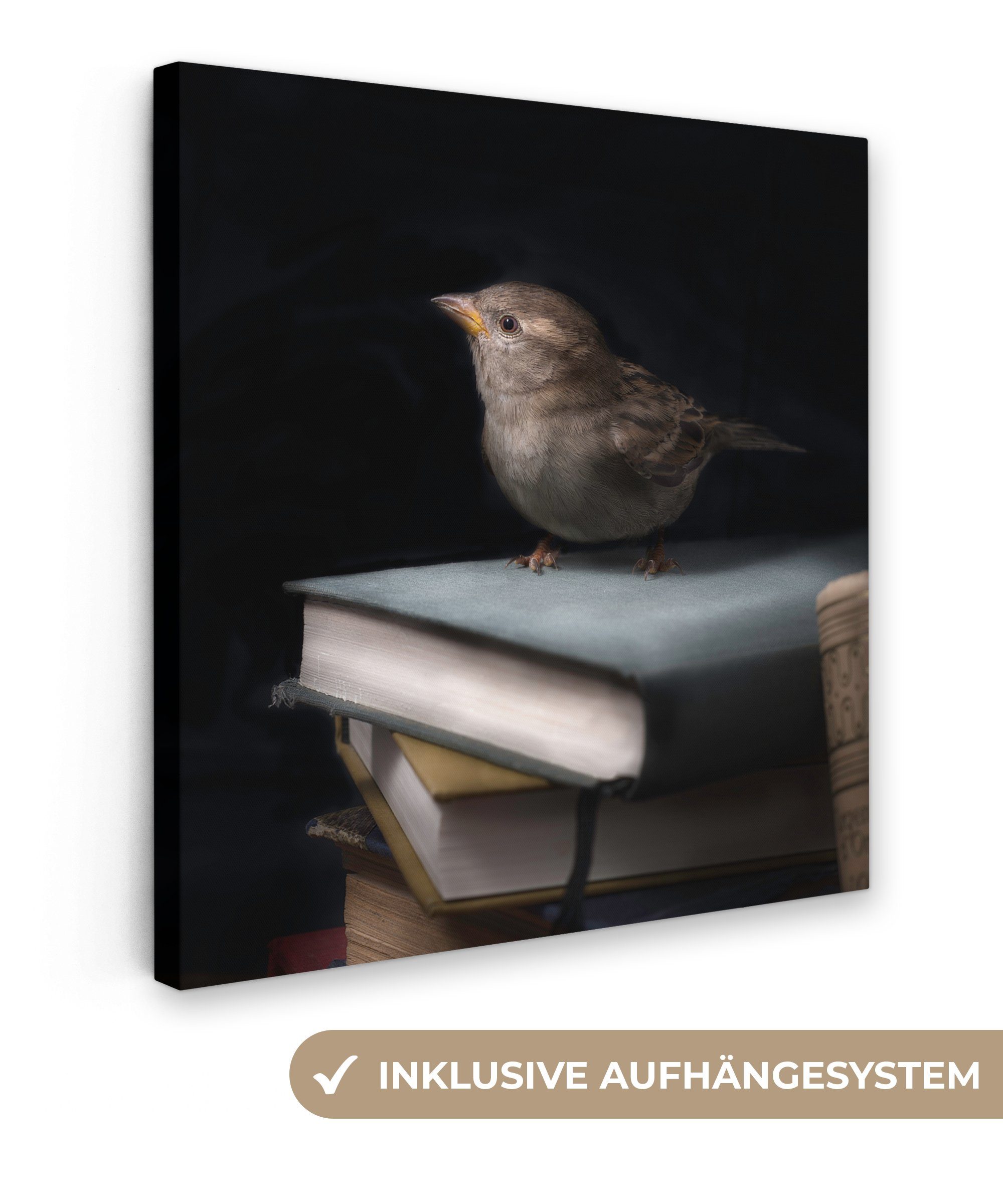 OneMillionCanvasses® Leinwandbild Vogel - Bücher - Porträt, (1 St), Leinwand Bilder für Wohnzimmer Schlafzimmer, 20x20 cm
