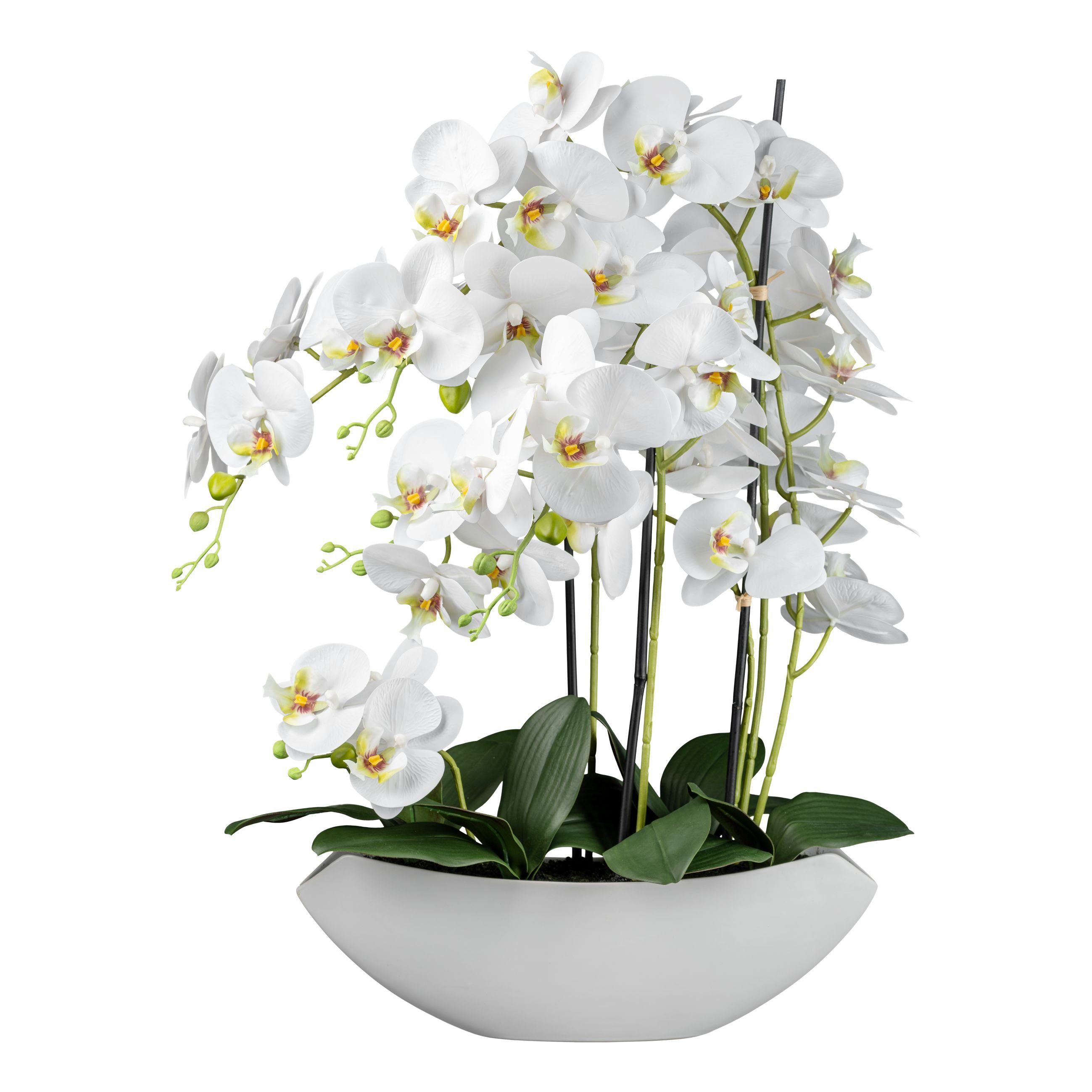 Kunstblume Orchidee Arrangement in weißem Keramiktopf, 70 cm, Dahlia Studios