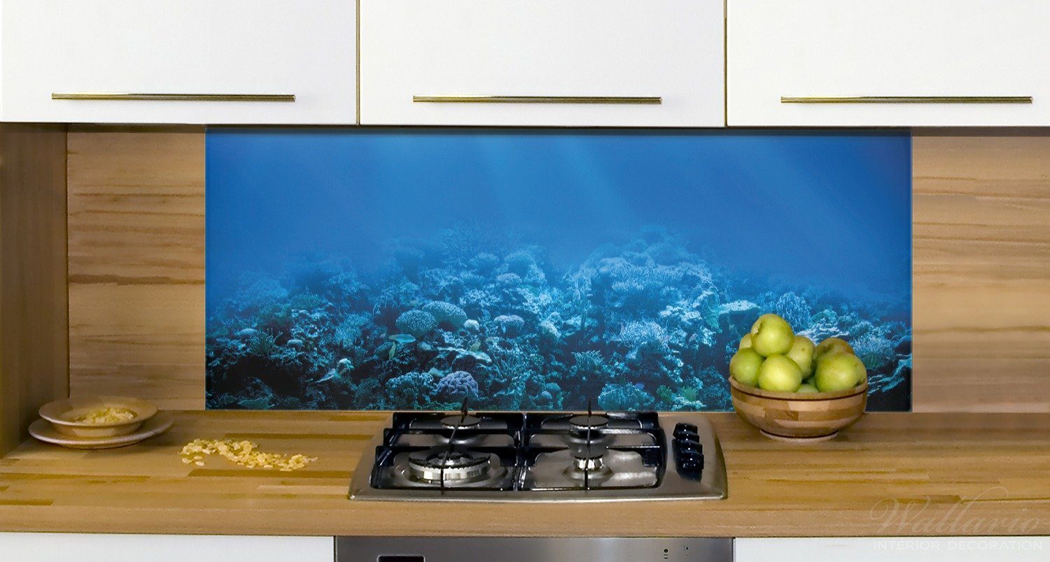 Wallario Küchenrückwand (1-tlg) Unterwasserwelt Meer