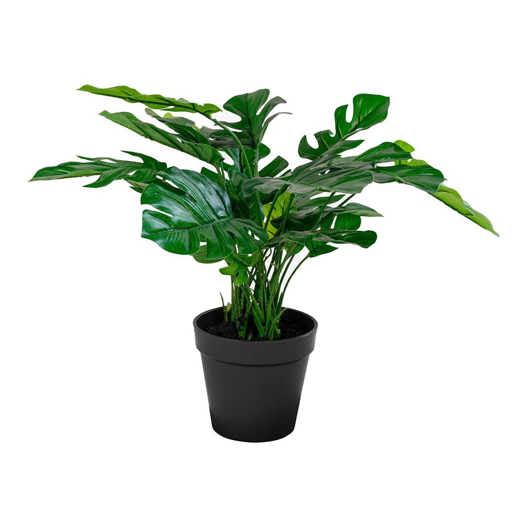Kunstpflanze Monstera Künstliche Pflanze H45 cm grün., House Nordic, Höhe 45 cm