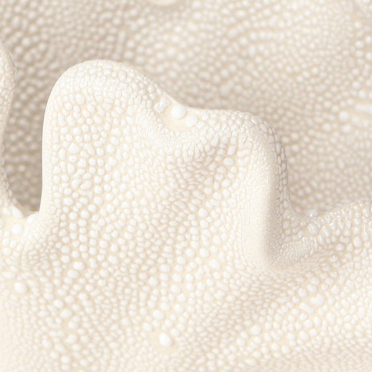 Kaemingk Dekofigur Deko Muschel Vase Mini Keramik Creme Maritim