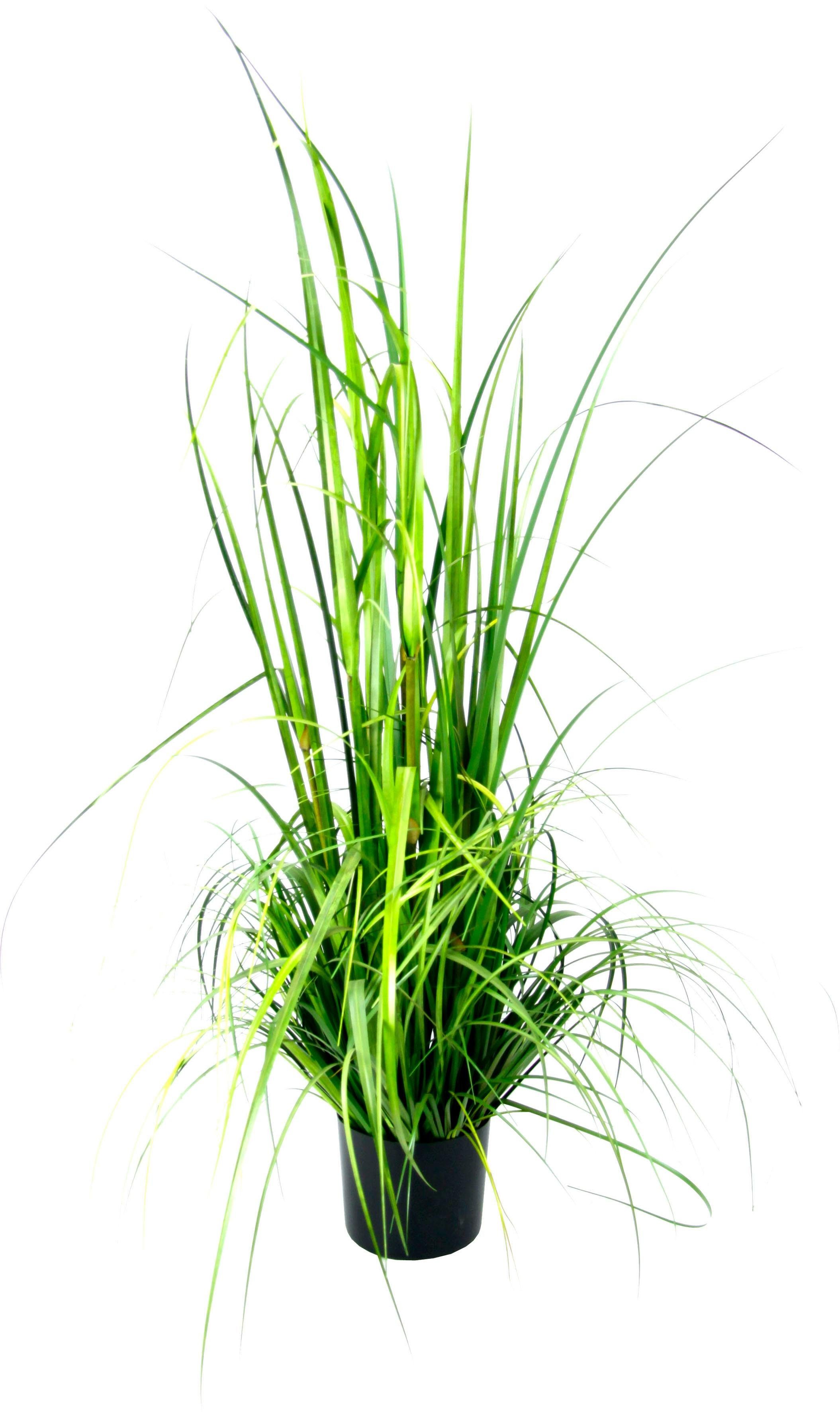 Kunstpflanze Gras im Topf Gras, I.GE.A., Höhe 150 cm