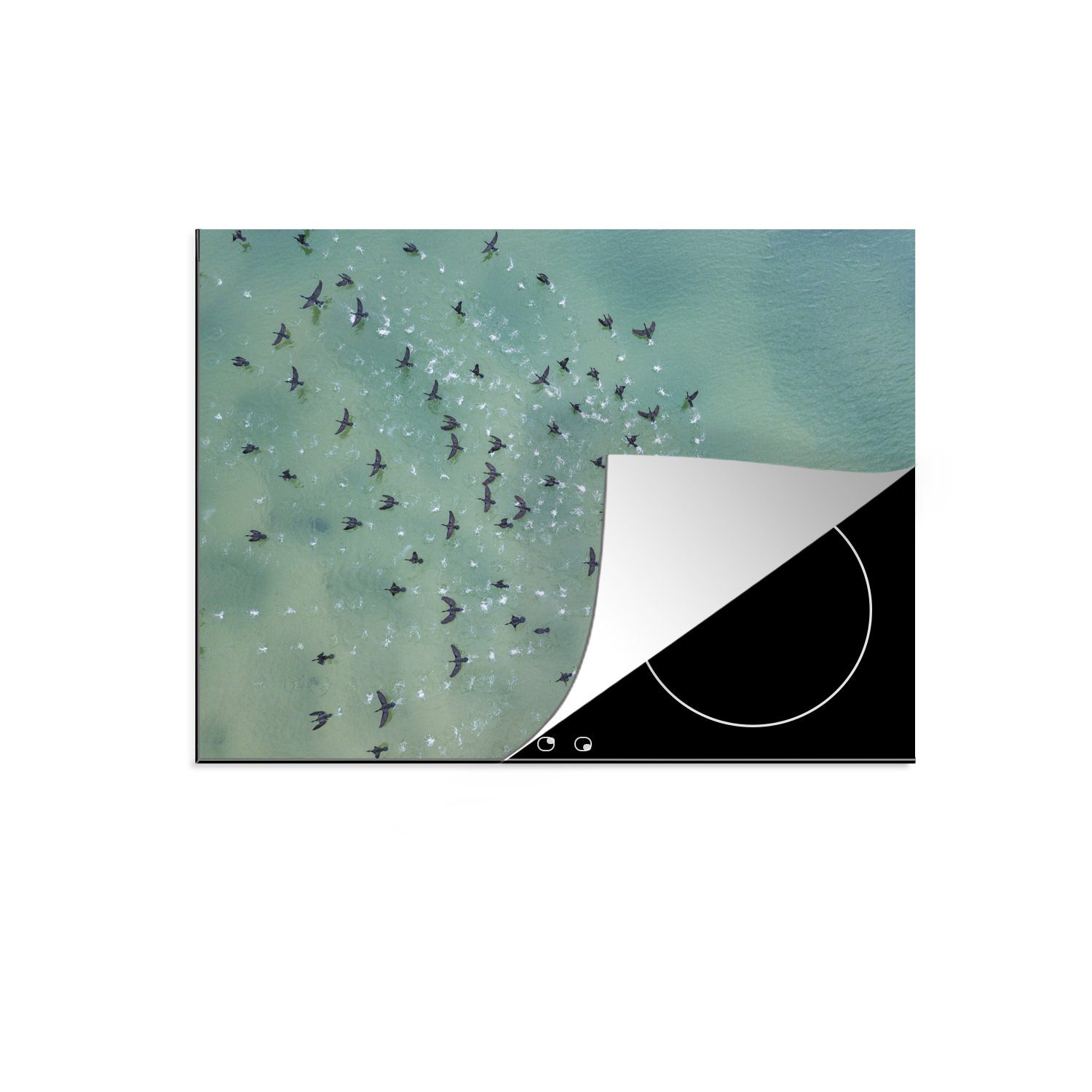 MuchoWow Herdblende-/Abdeckplatte Vogel - Wasser - Tiere, Vinyl, (1 tlg), 70x52 cm, Mobile Arbeitsfläche nutzbar, Ceranfeldabdeckung