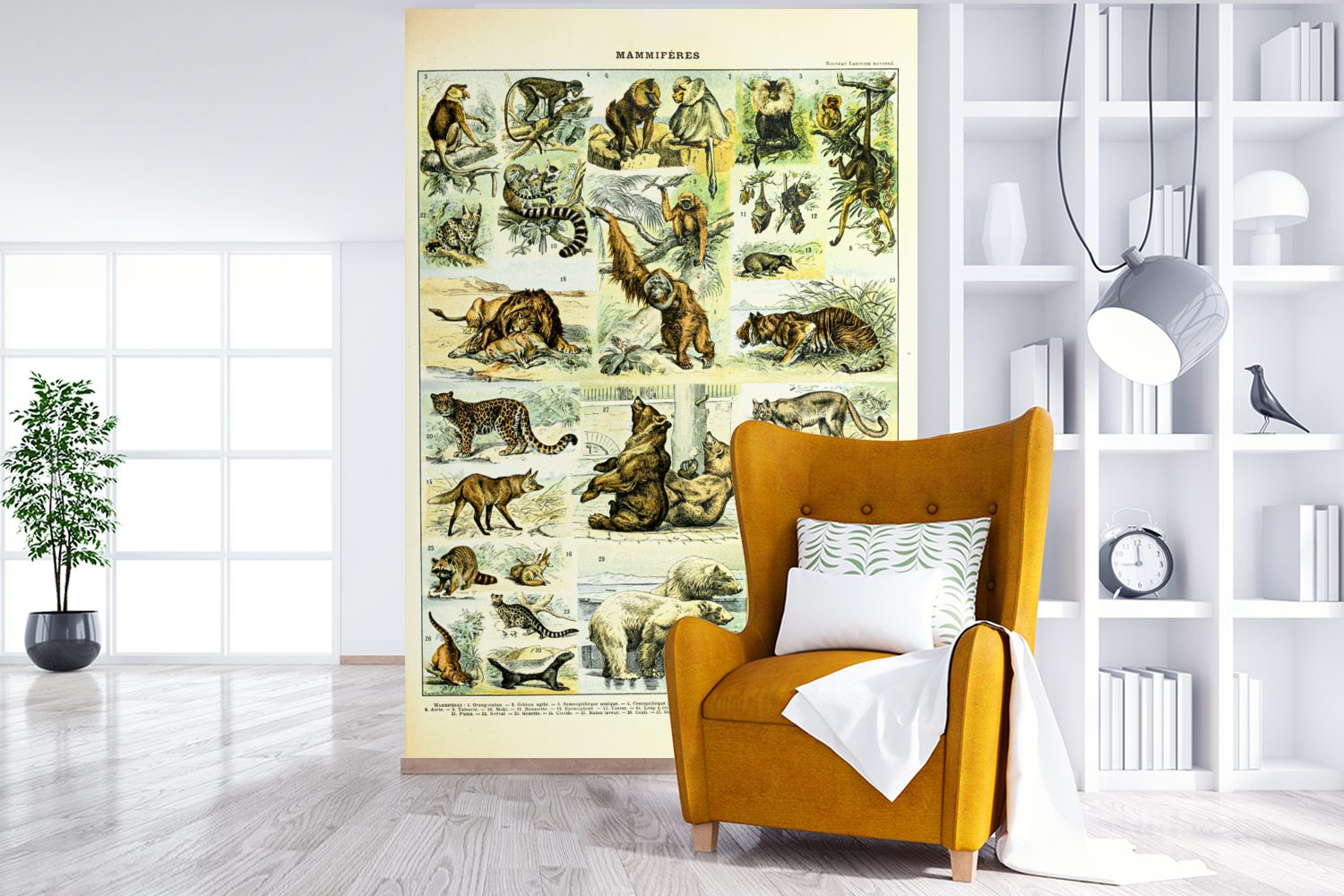 (3 Affe Bären, Wohnzimmer, Tiere Matt, Montagefertig MuchoWow - Wandtapete Vinyl Fototapete für Tapete - bedruckt, St),