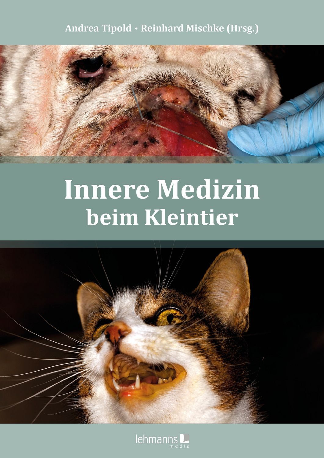 Innere Medizin beim Kleintier / diverse, X