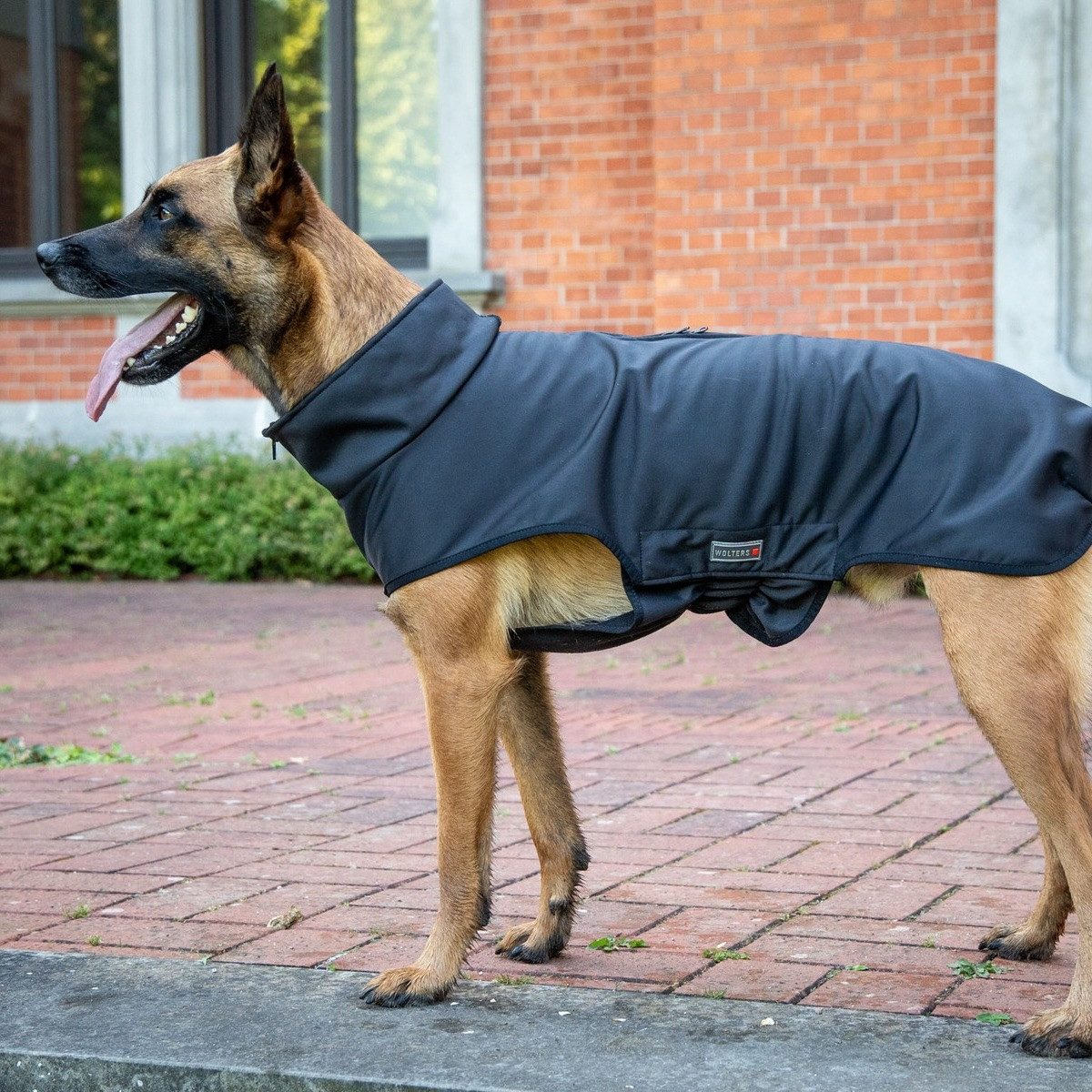 Wolters Hundemantel Softshelljacke Casual schwarz