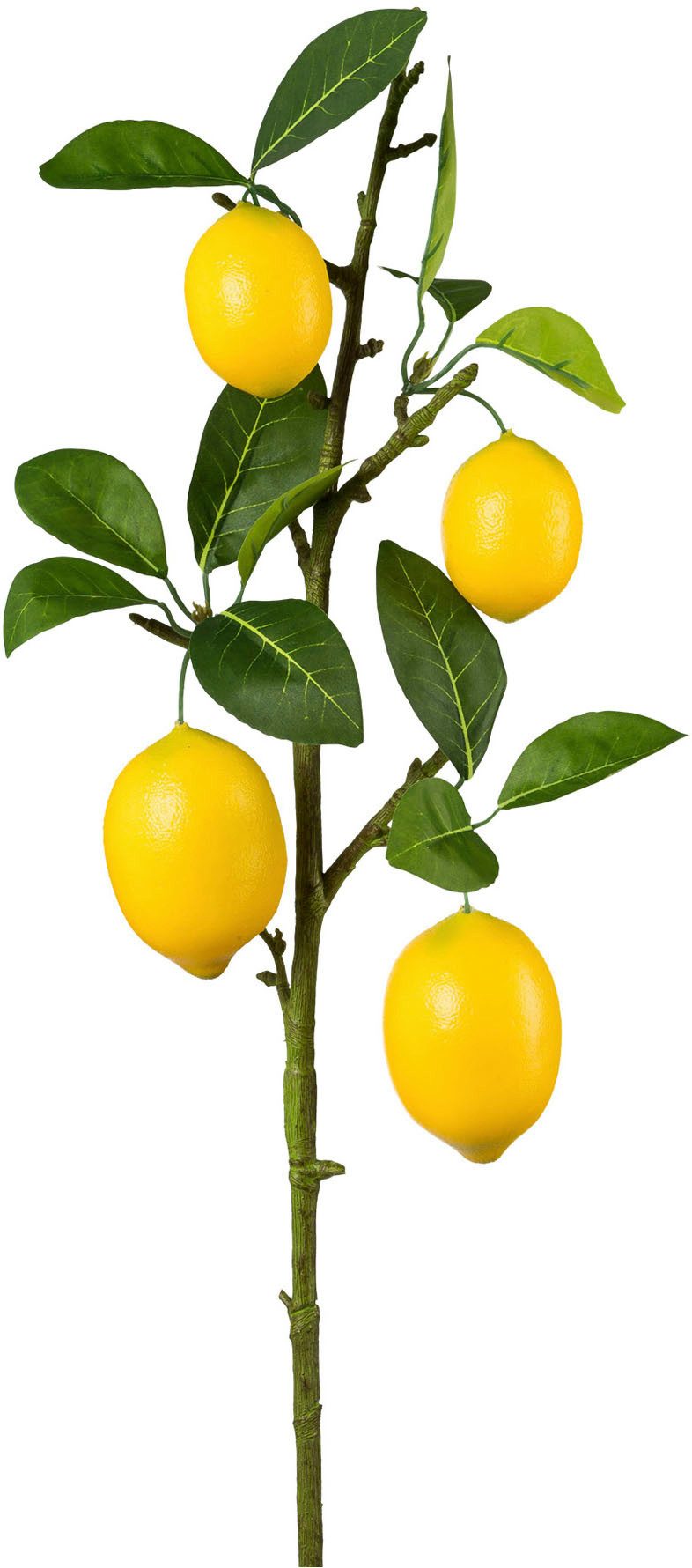 Kunstzweig Zitronenzweig, Creativ green, Höhe 68 cm, mit detailgetreuer Ges günstig online kaufen