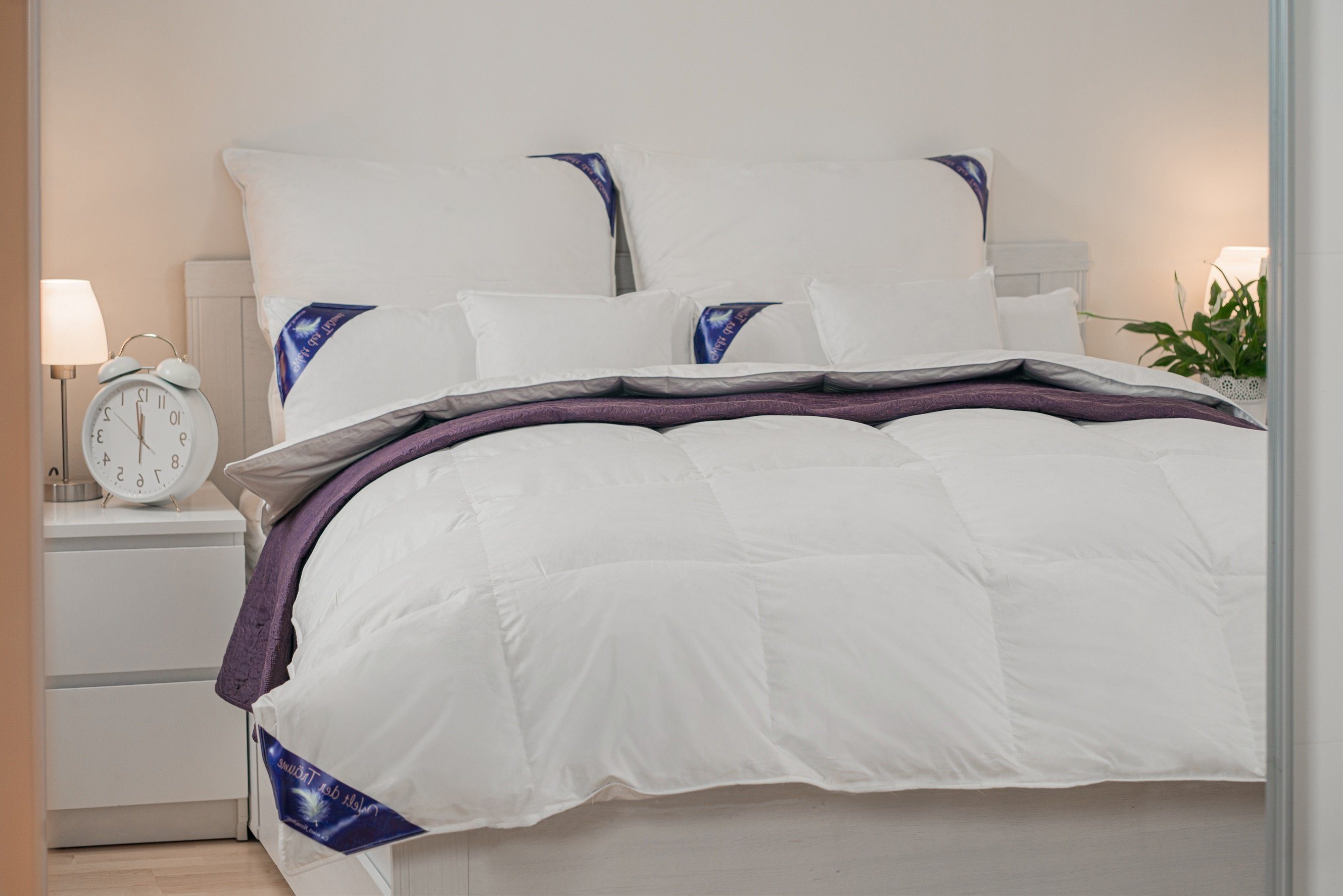 Welt der Träume Daunenbettdecke 80% Daunen/ 20% Federn 135x200 cm Daunendec günstig online kaufen