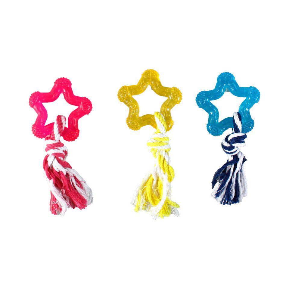 Outdoor-Spielzeug Hundespielzeug good4fun Stern mit Seil