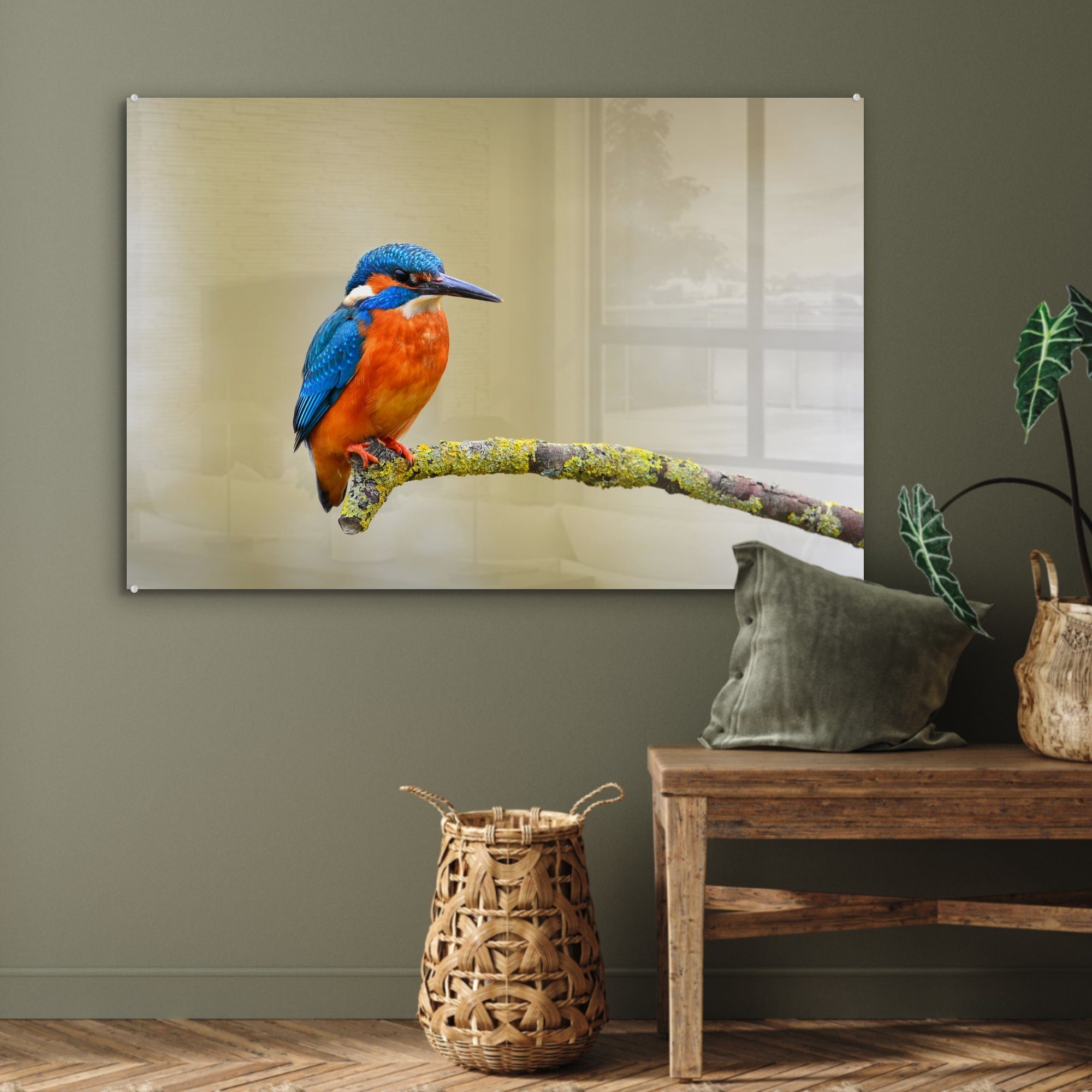 Vogel - Eisvogel St), - (1 Zweig, MuchoWow & Acrylglasbilder Schlafzimmer Wohnzimmer Acrylglasbild