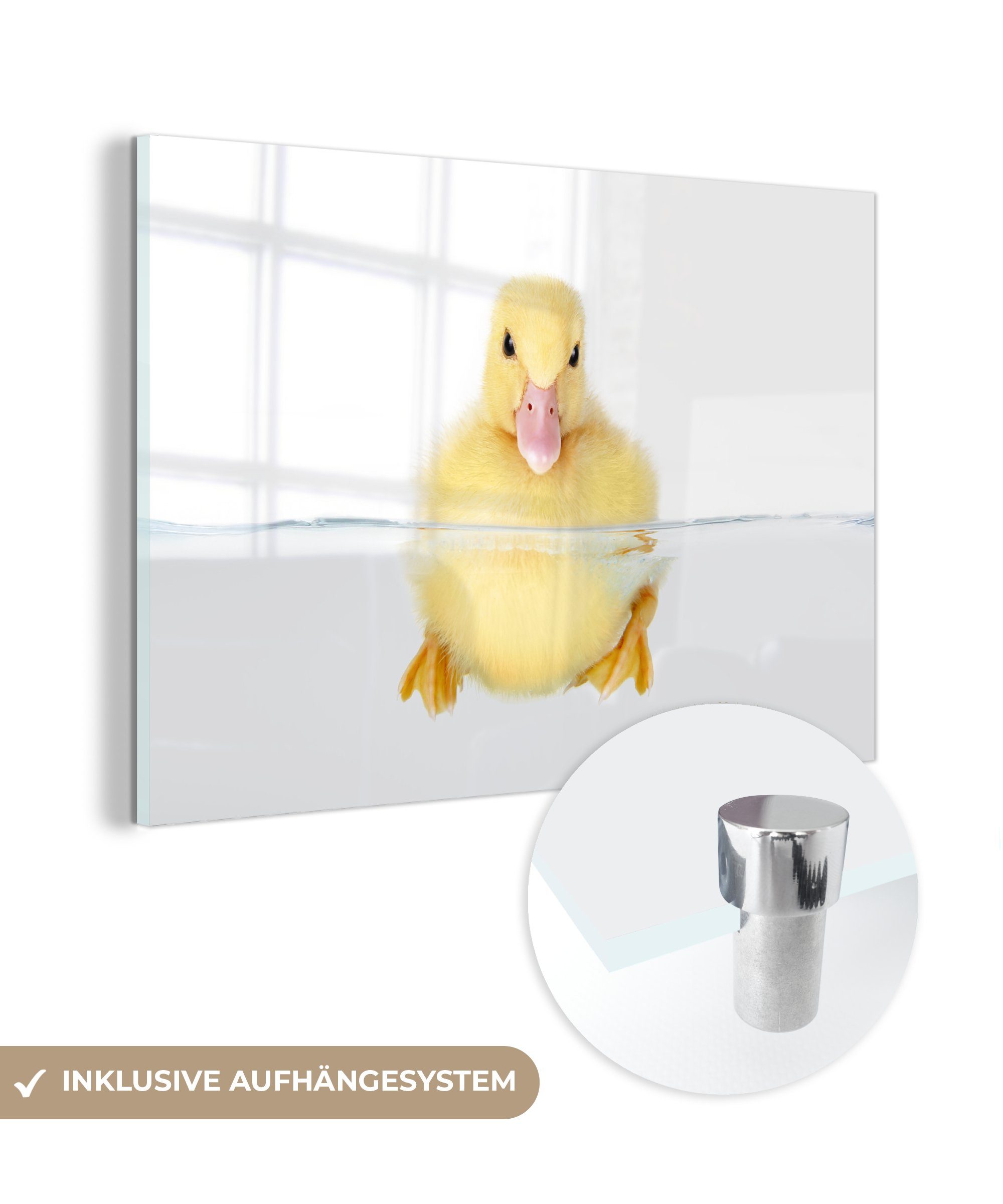 MuchoWow Acrylglasbild Schwimmendes Entenbaby, (1 St), Acrylglasbilder Wohnzimmer & Schlafzimmer | Bilder