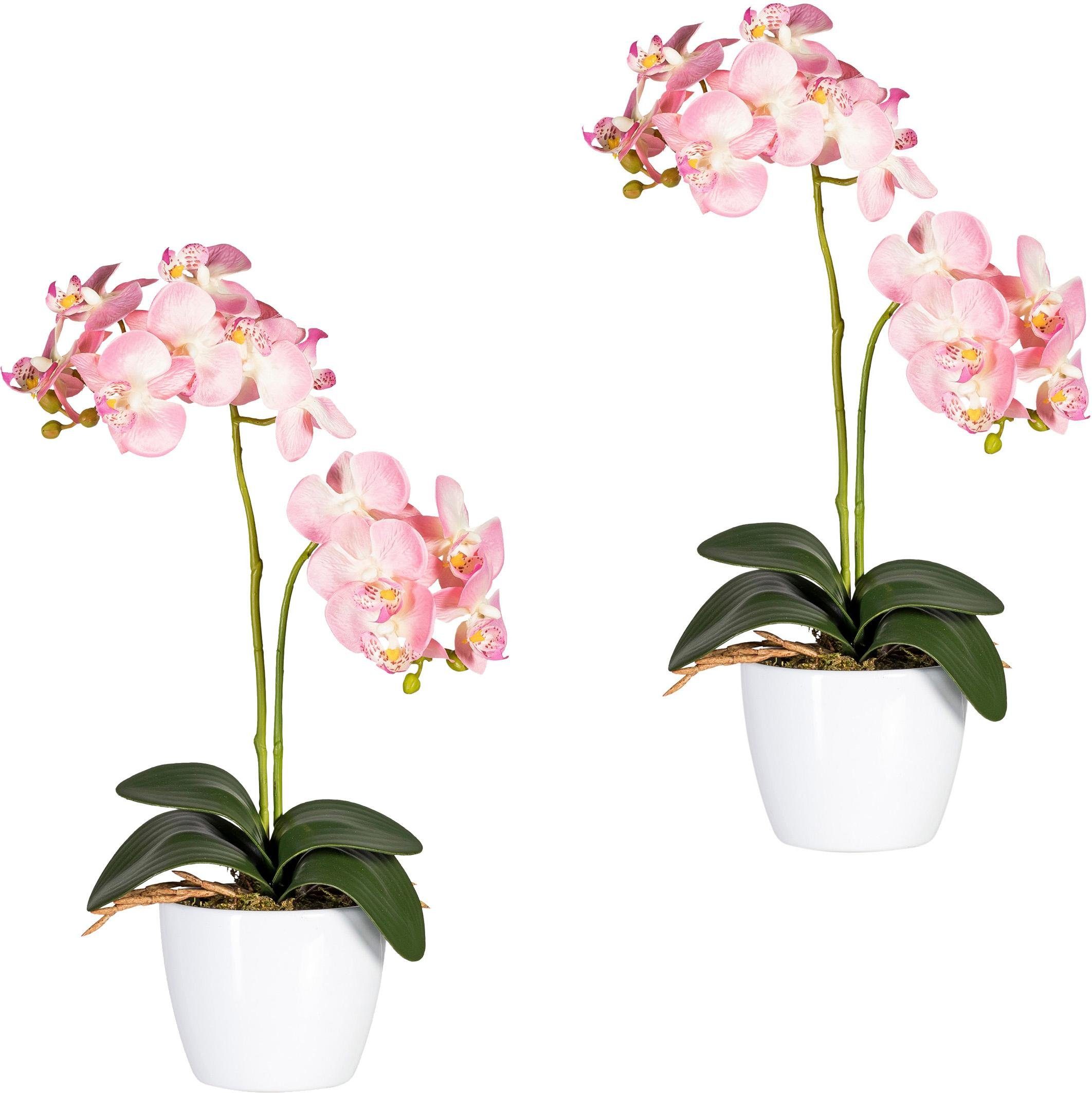 Kunstpflanze Phalaenopsis Orchidee, Creativ green, Höhe 50 cm günstig online kaufen