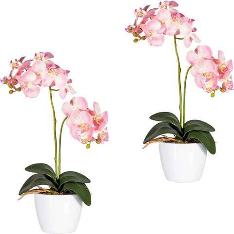 Kunstpflanze Phalaenopsis Orchidee, Creativ green, Höhe 50 cm