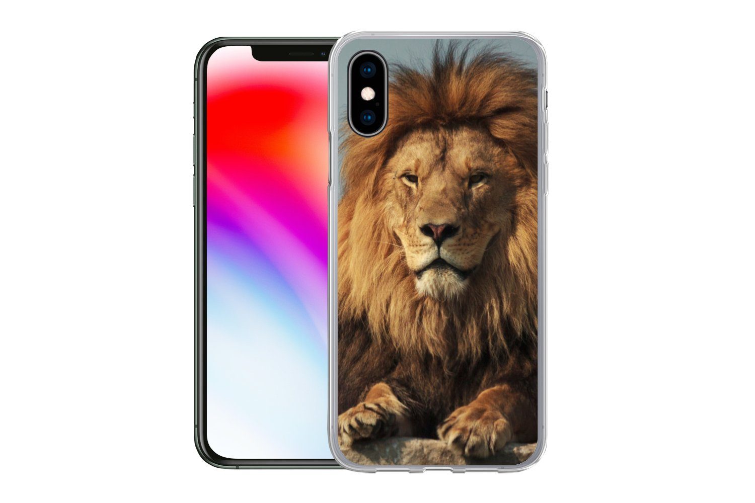 MuchoWow Handyhülle für Apple iPhone X Löwe - Felsen - Porträt, Smartphone-Bumper, Print, Handy Schutzhülle Dünn