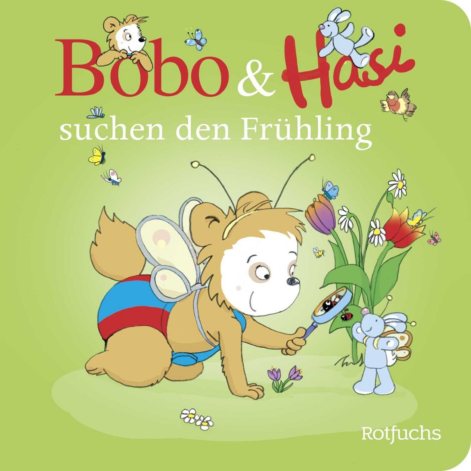 Kinderbuch Bobo & Hasi suchen den Frühling Pappbilderbuch für Babys und Kleinkind Dorothée Böhlke