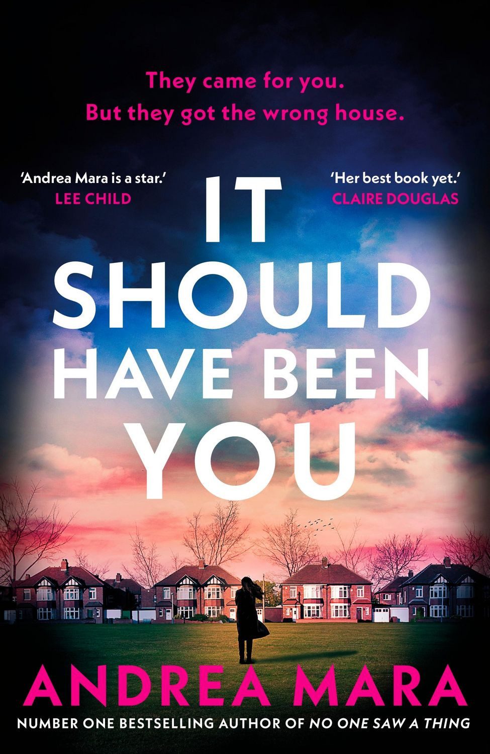 It Should Have Been You / Andrea Mara