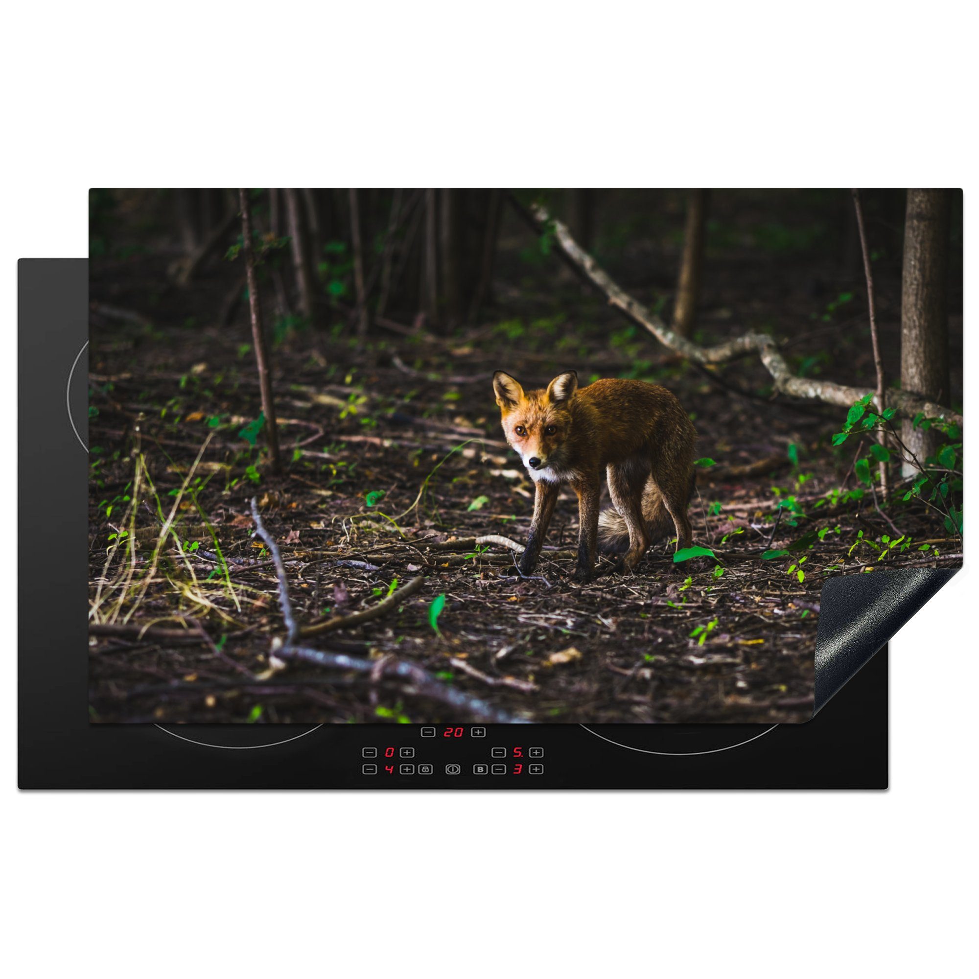 MuchoWow Herdblende-/Abdeckplatte Fuchs - Wald - Orange, Vinyl, (1 tlg), 83x51 cm, Ceranfeldabdeckung, Arbeitsplatte für küche