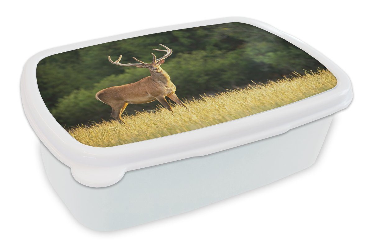 MuchoWow Lunchbox Hirsch - Geweih - Gras - Natur - Tiere - Grün, Kunststoff, (2-tlg), Brotbox für Kinder und Erwachsene, Brotdose, für Jungs und Mädchen weiß