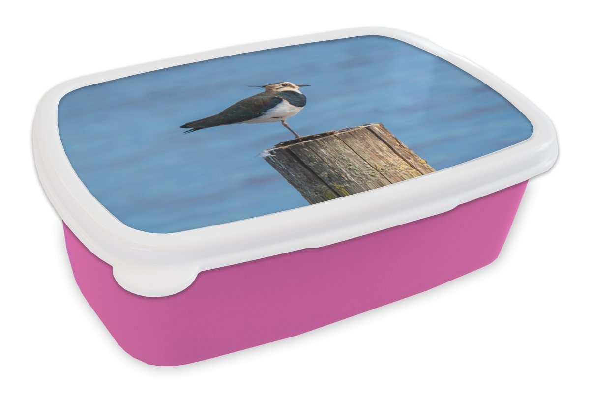 MuchoWow Lunchbox Vogel - Tiere - Pfahl - Blau - Kiebitz, Kunststoff, (2-tlg), Brotbox für Erwachsene, Brotdose Kinder, Snackbox, Mädchen, Kunststoff rosa