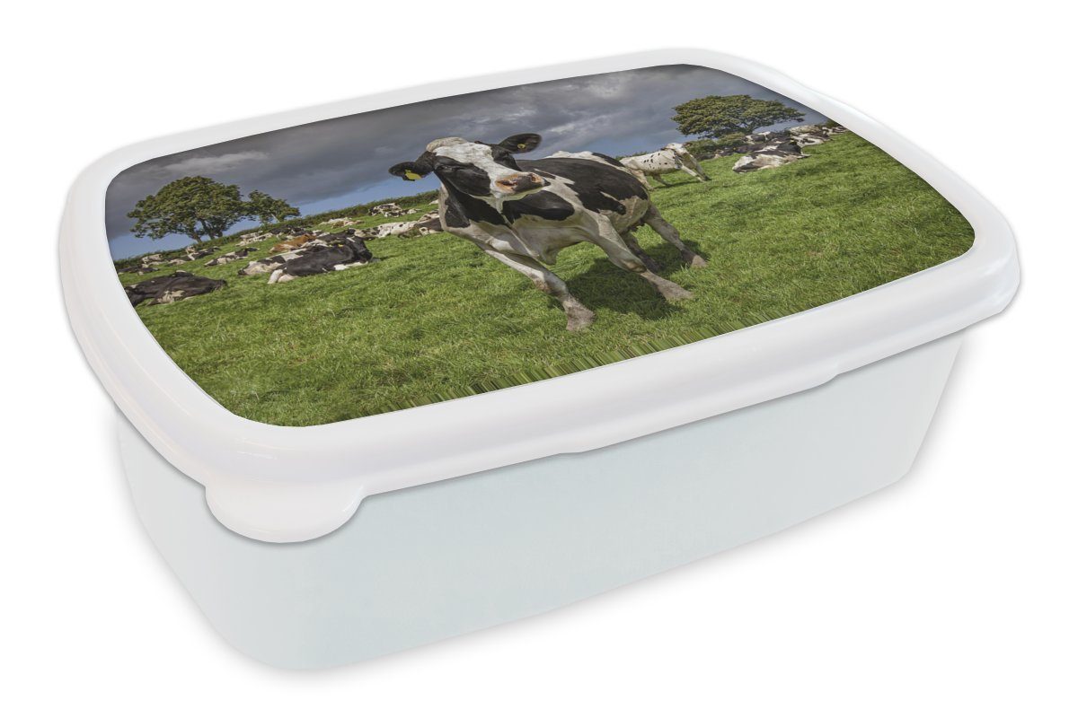 Tiere für Kunststoff, für MuchoWow weiß Erwachsene, Jungs und Lunchbox Brotdose, Brotbox Friesisch, und Mädchen Kühe - - Kinder (2-tlg),