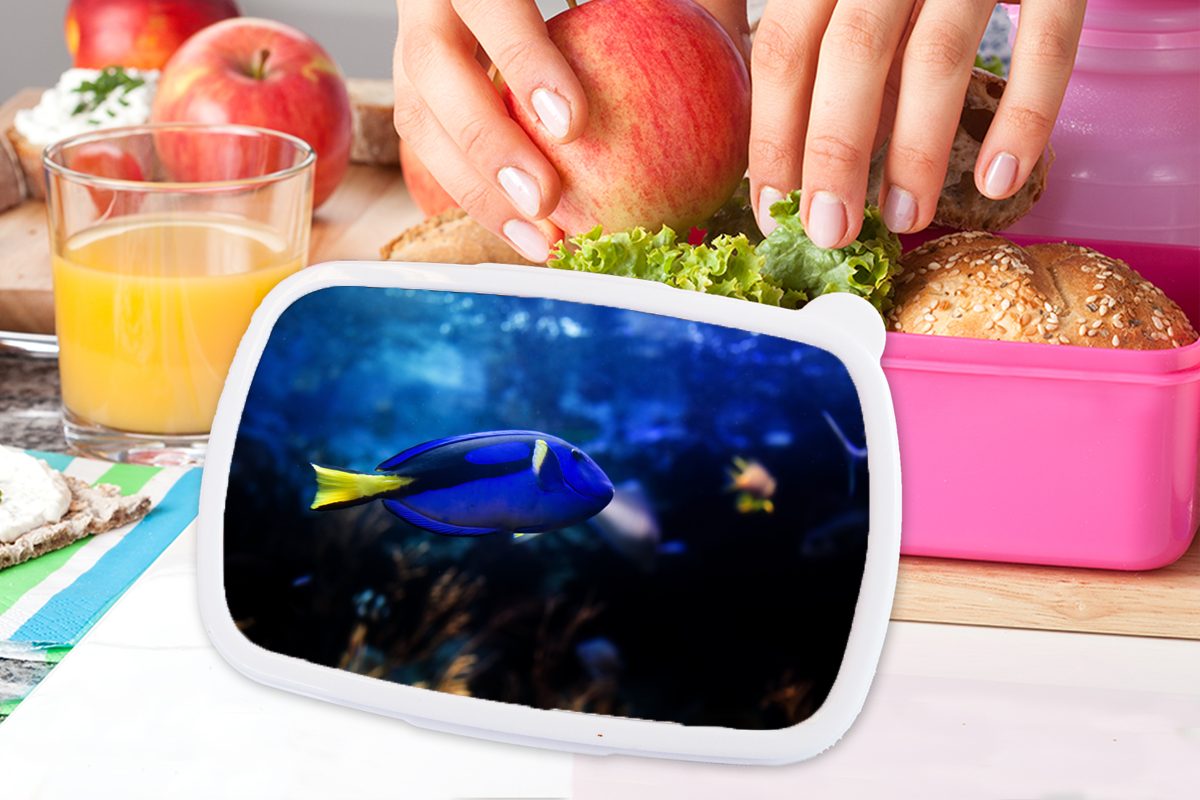 Brotdose Kinder, Lunchbox Aquarium, Kunststoff rosa für MuchoWow Blauer Brotbox Erwachsene, Fisch Kunststoff, Mädchen, im (2-tlg), Snackbox,