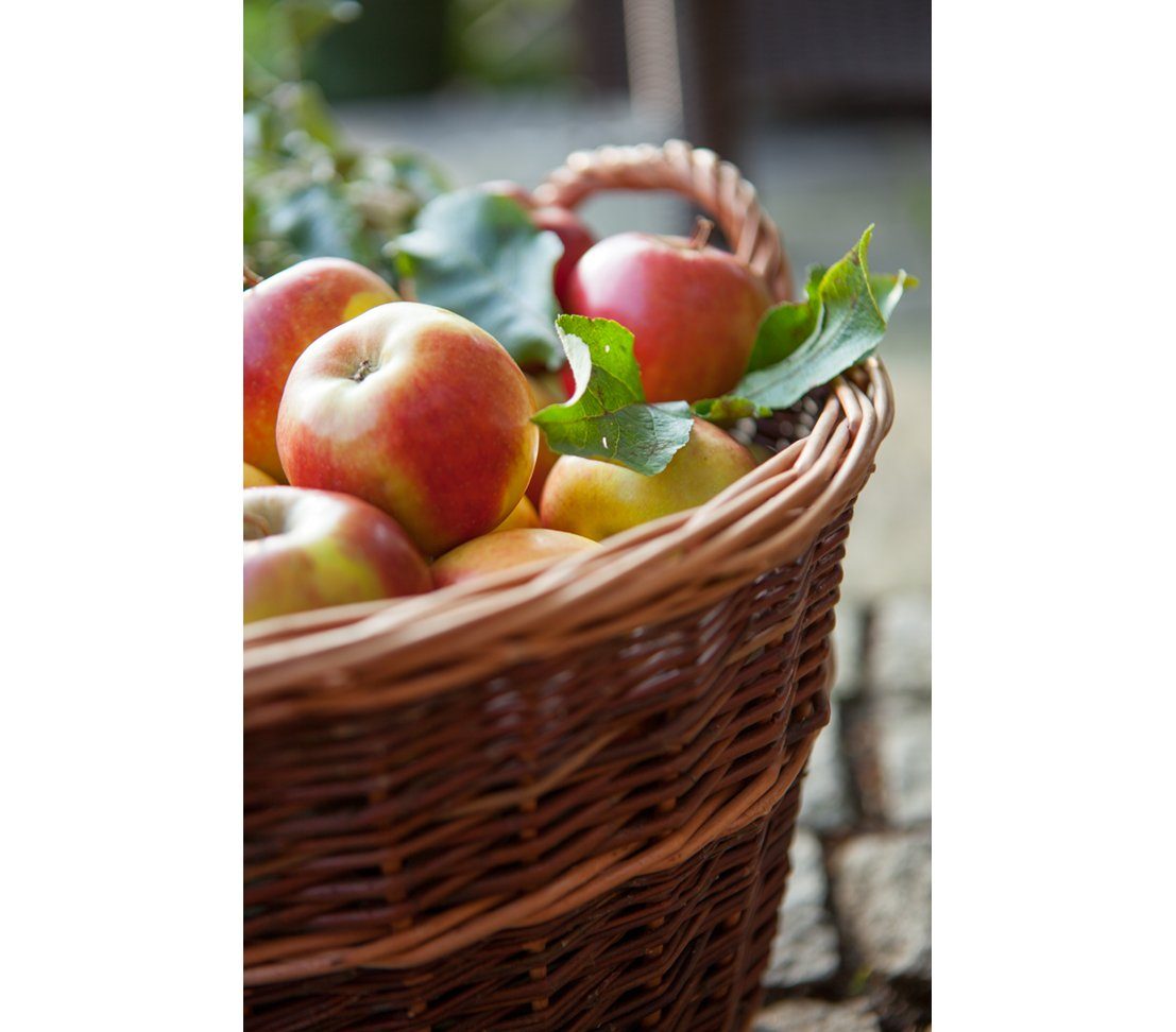 Dehner Weidenkorb Gartenkorb rund, versch. Größen, auch für Holz als Kaminkorb geeignet
