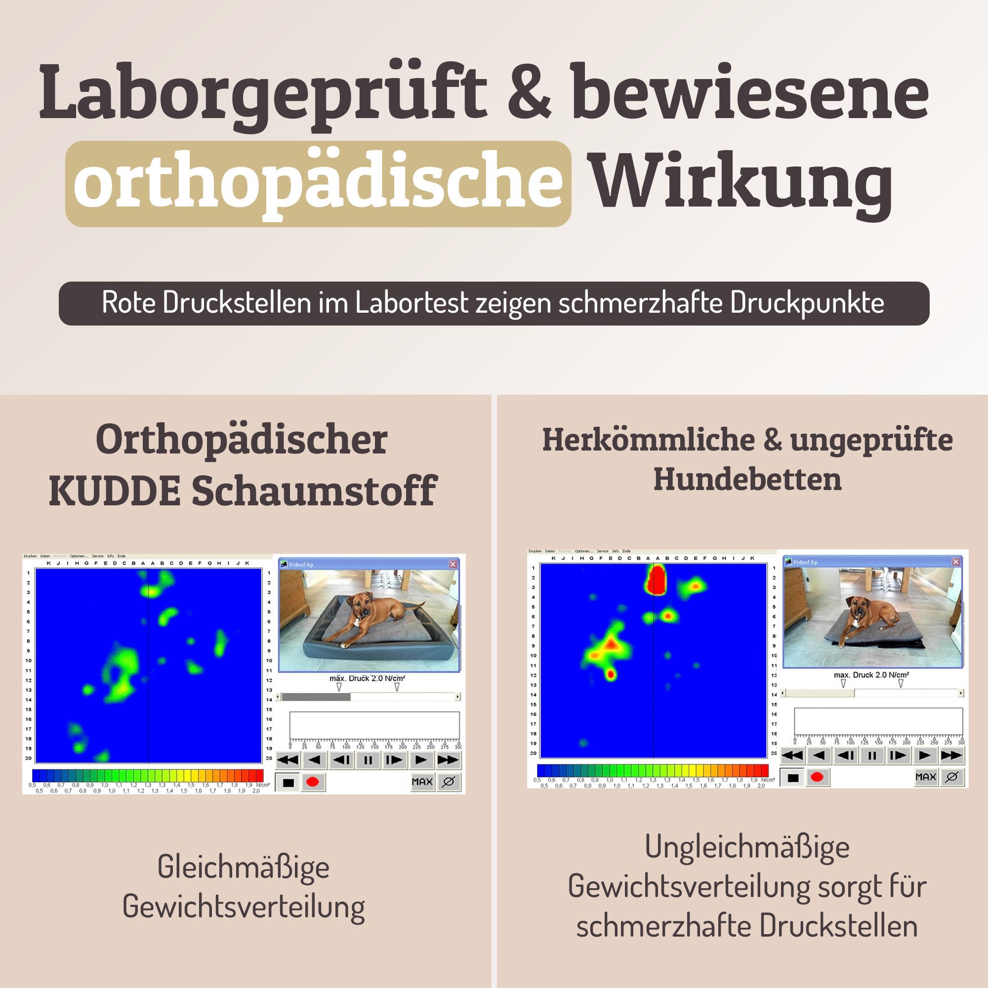 SABRO Hundekorb KUDDE Orthopädisch - Waschbar & Wasserabweisend - Ergonomisch aus, Kunstleder, Premium Hundebett mit wechselbarem Bezug für jede Hundegröße – Bild 5 von 5