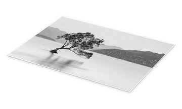 Posterlounge Poster Sebastian Warneke, Einsamer Baum / schwarz-weiß, Badezimmer Rustikal Fotografie