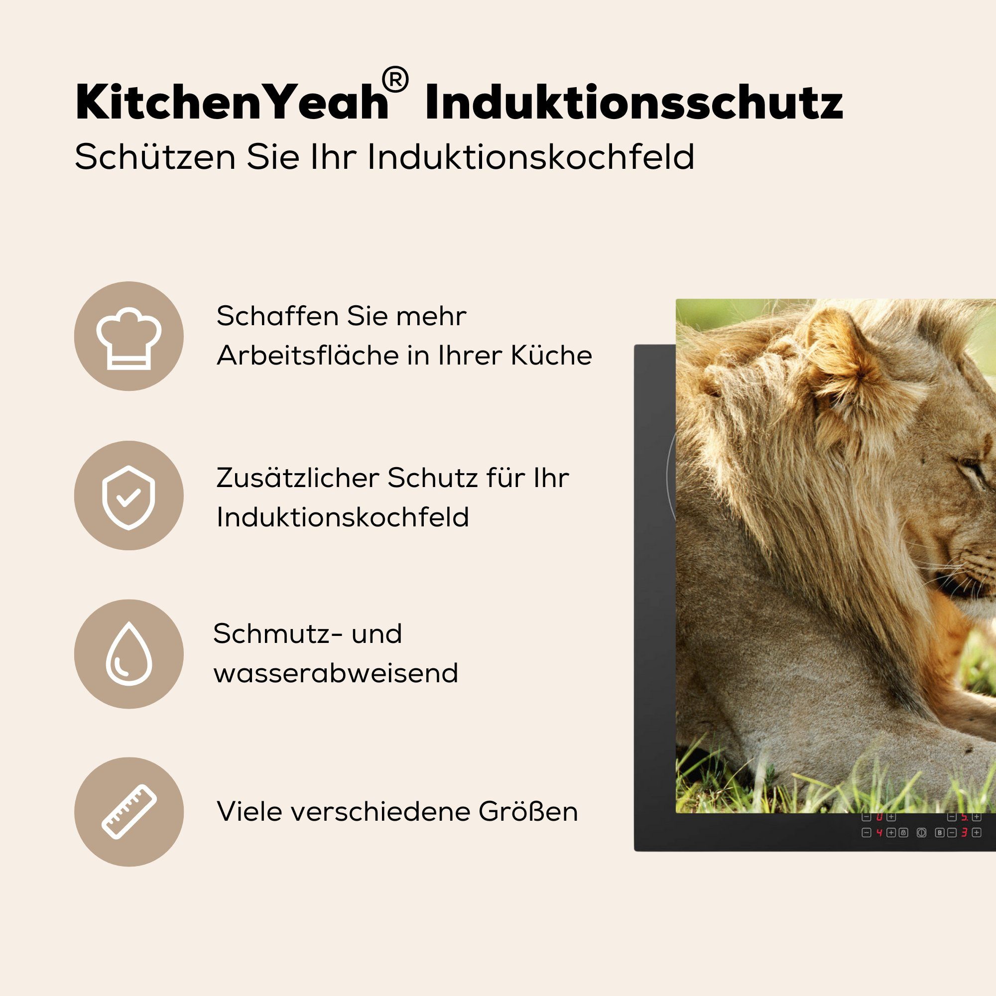 Induktionskochfeld die - Schutz Wilde Ceranfeldabdeckung küche, - (1 Herdblende-/Abdeckplatte Vinyl, Löwen für tlg), Tiere Gras, 81x52 cm, MuchoWow