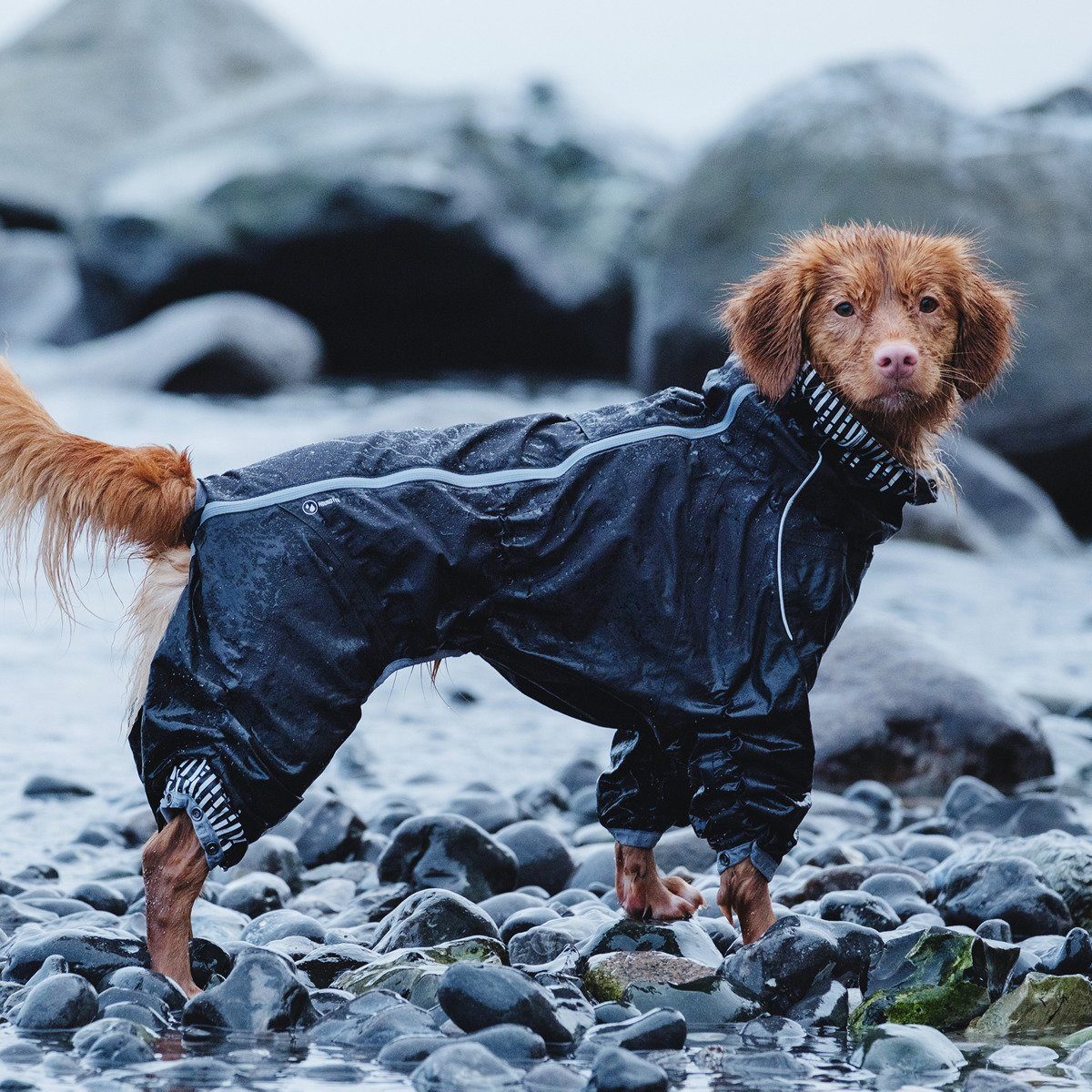HURTTA Hundeoverall Regen-Overall Downpour Suit schwarz