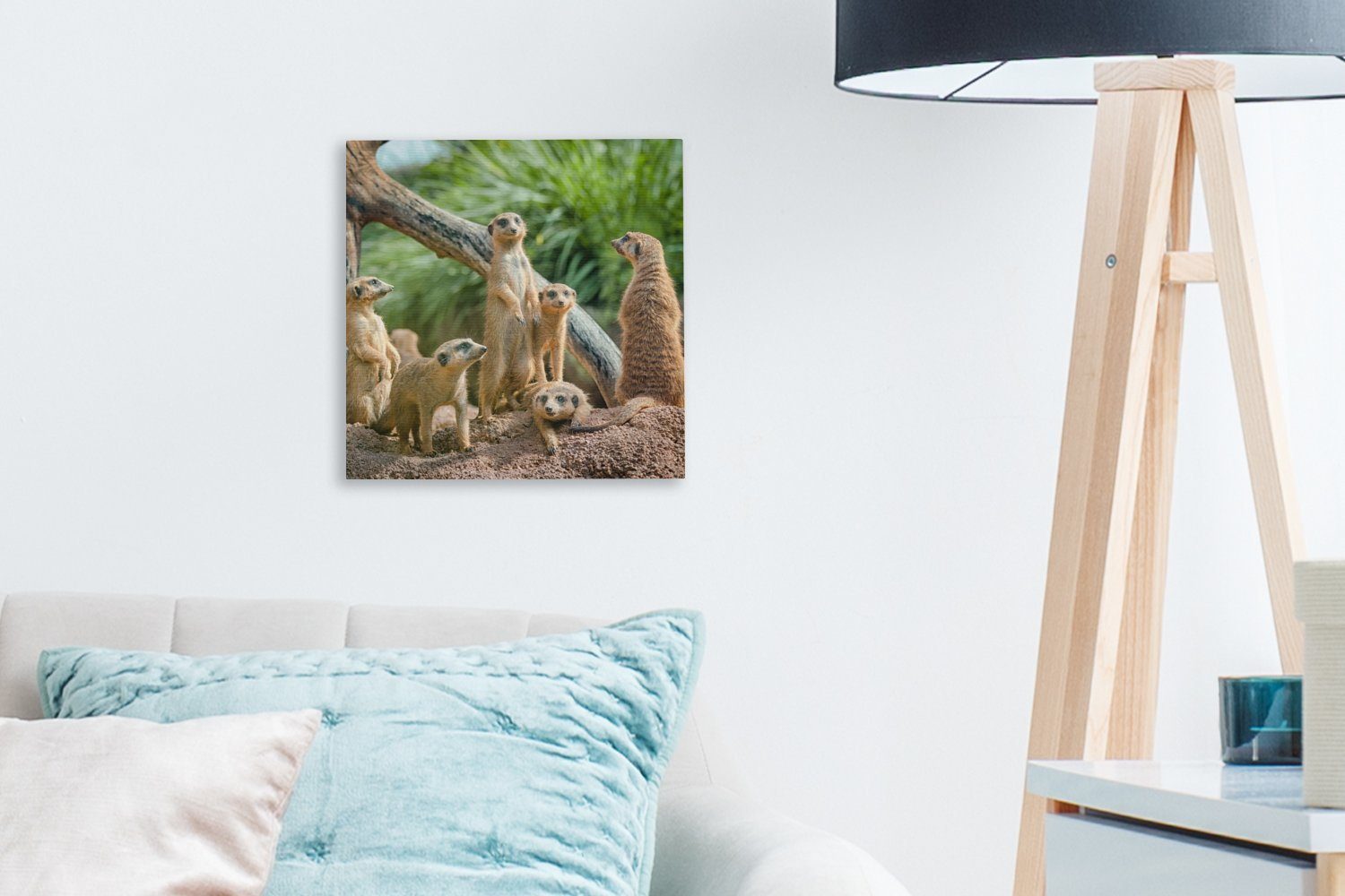 OneMillionCanvasses® Leinwandbild Erdmännchen Schlafzimmer für Familie - - Leinwand (1 St), Wohnzimmer Bilder Tiere