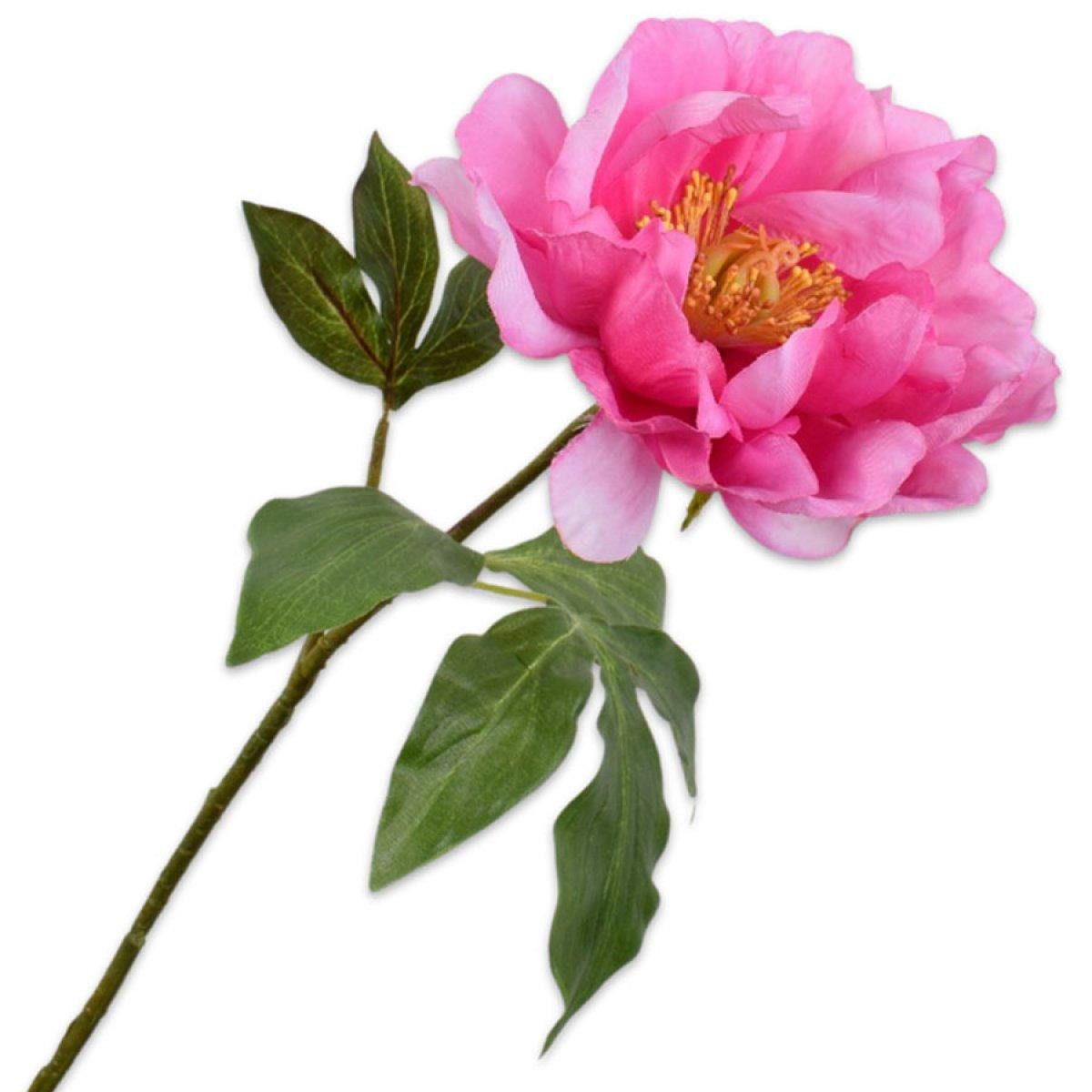 Künstliche Zimmerpflanze Seidenblume Pfingstrose Blüte Pink Rosa (56cm), SILK-KA