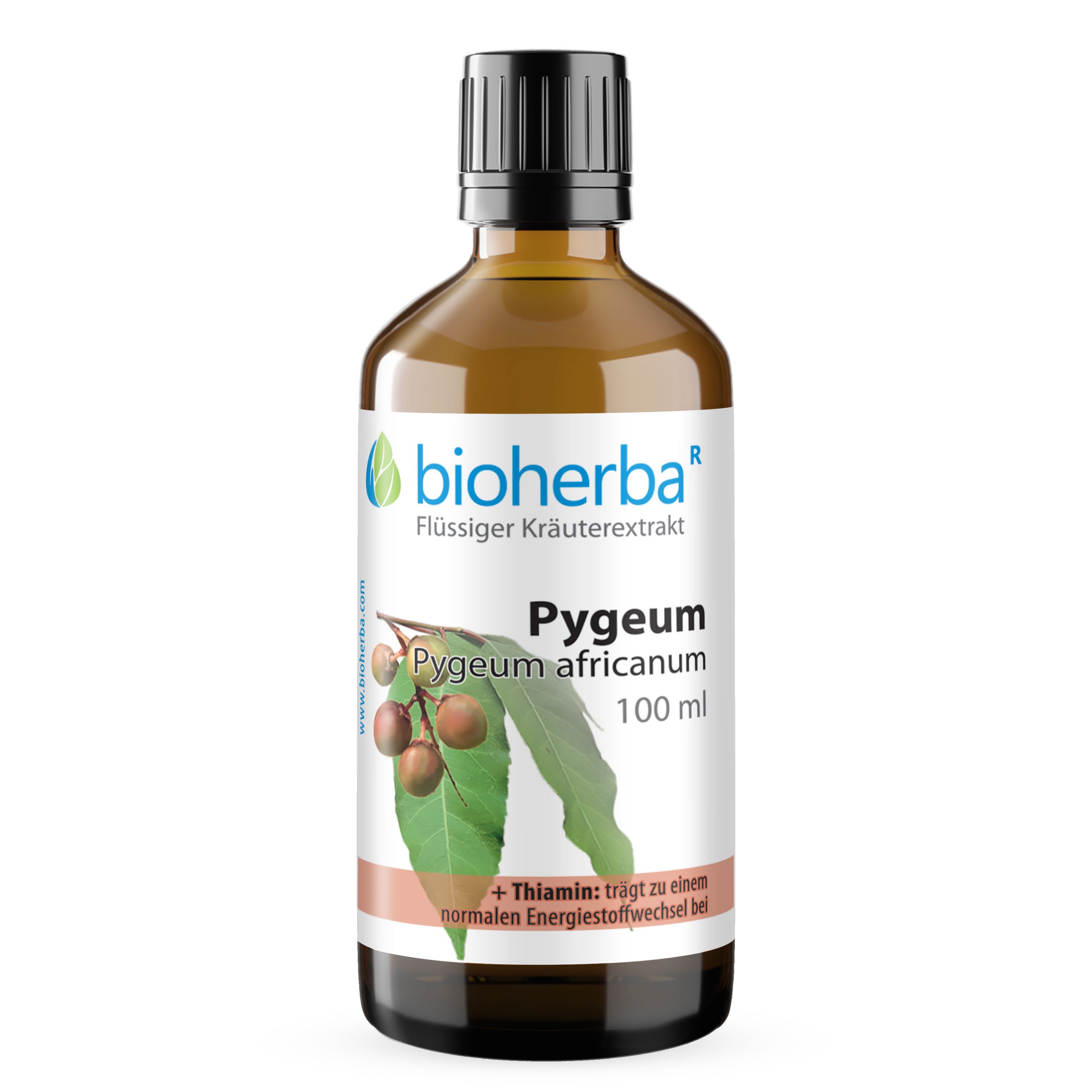 BIOHERBA R Bioherba Pygeum Pygeum africanum Tropfen Tinktur 100 ml Glasflasche, 1 er