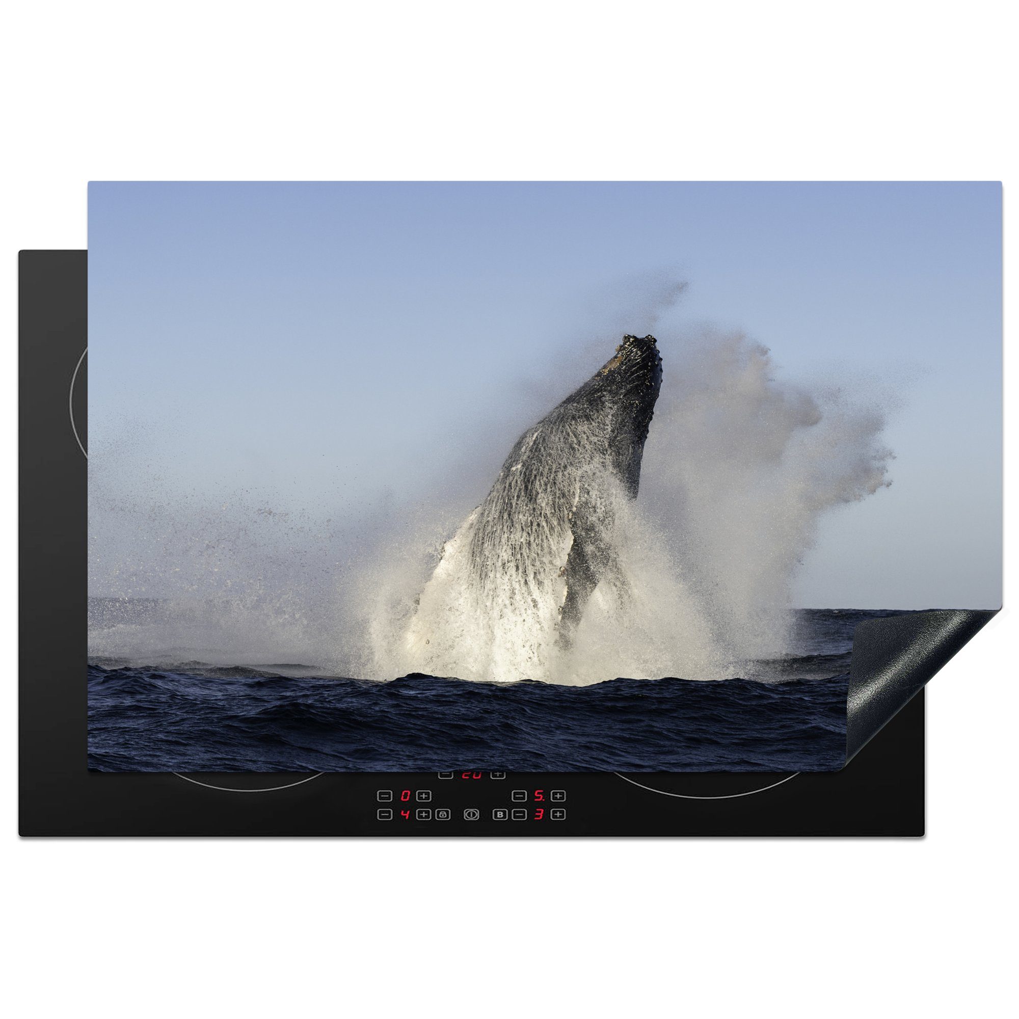 MuchoWow Herdblende-/Abdeckplatte Wal - Wasser - Südafrika, Vinyl, (1 tlg), 81x52 cm, Induktionskochfeld Schutz für die küche, Ceranfeldabdeckung
