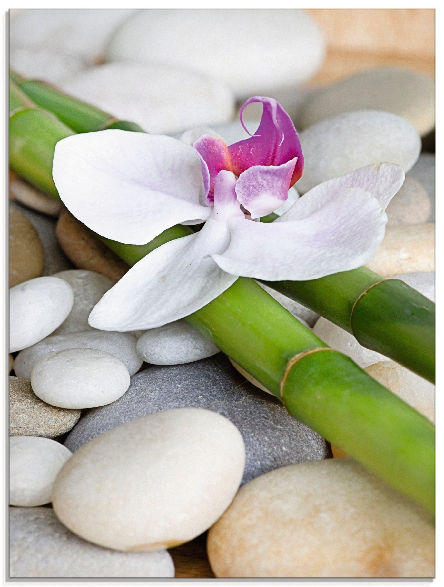 Zen Glasbild (1 verschiedenen Größen Zen St), in Artland Orchidee,