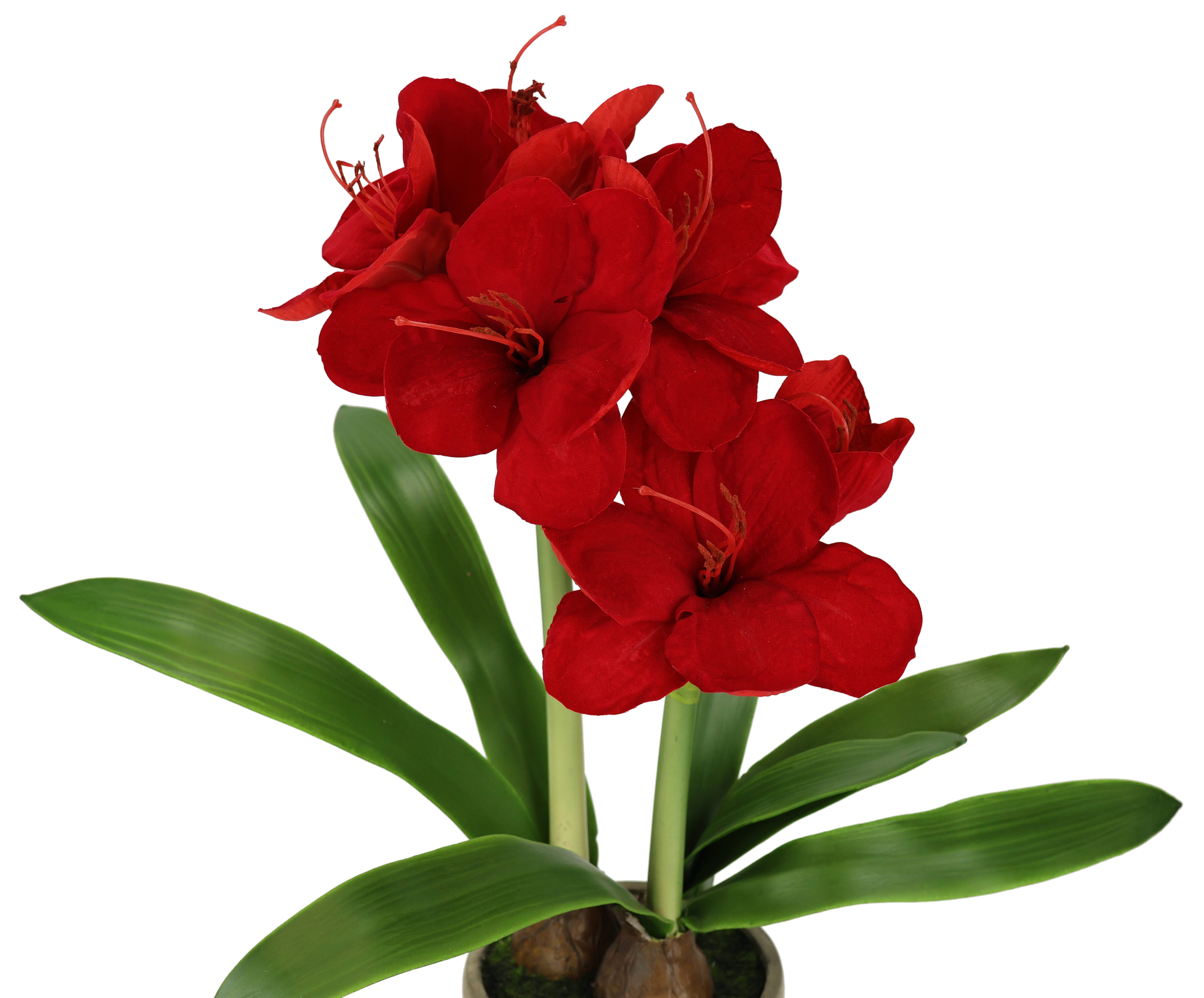 Kunstblume Amaryllis im Topf, I.GE.A., Höhe günstig online kaufen