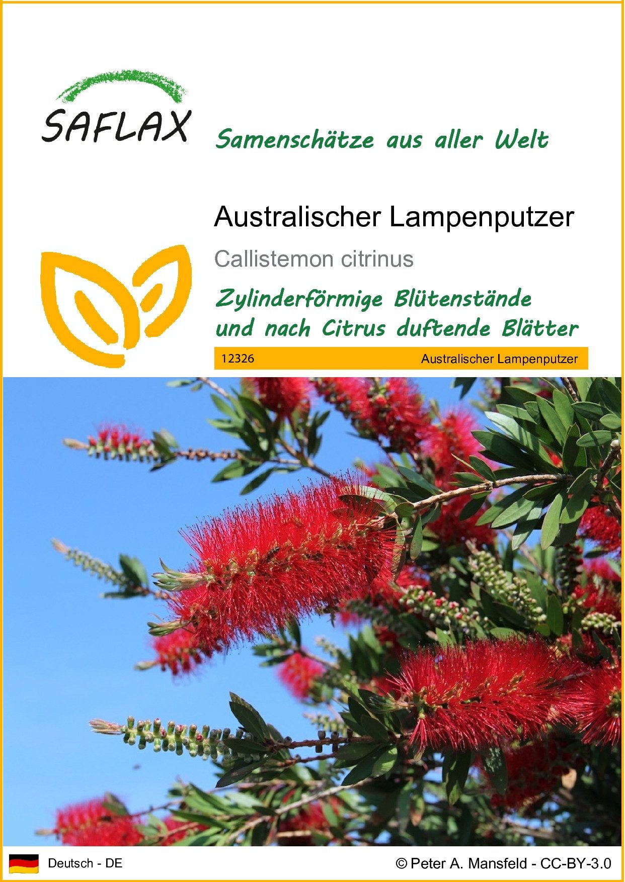 Blumensamen SAFLAX - Samen - Australischer Lampenputzer