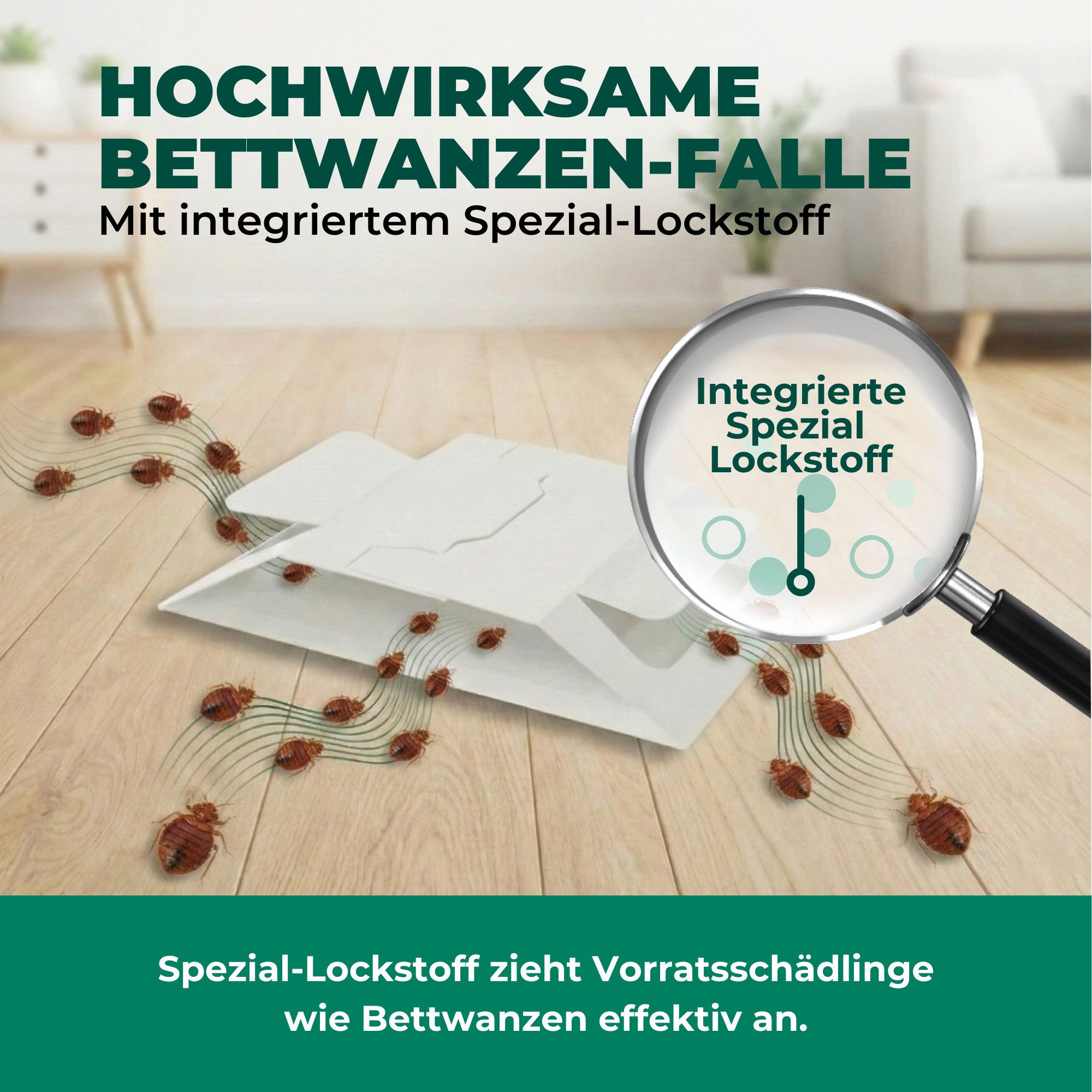 Silberkraft Insektenfalle Bettwanzenfalle – Universal-Klebefalle mit Lockstoff, Extrastarke Klebefläche, einfache Anwendung – Bild 5 von 5