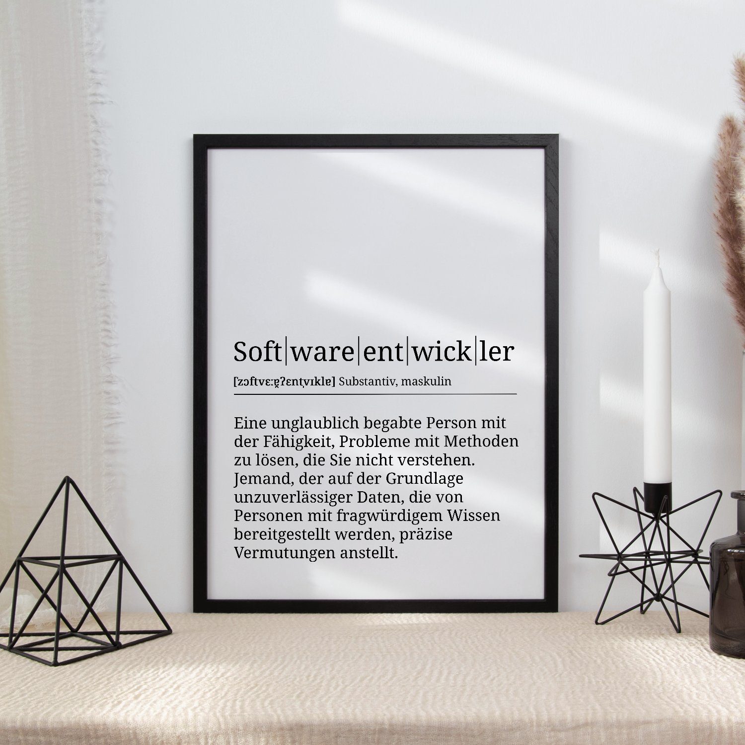 Tigerlino Poster Softwareentwickler Definition Wandbild Geschenk IT Mitarbeiter