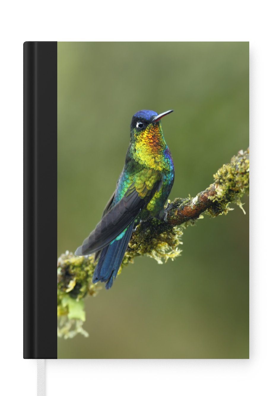 MuchoWow Notizbuch Vogel - Kolibri - Farben, Journal, Merkzettel, Tagebuch, Notizheft, A5, 98 Seiten, Haushaltsbuch