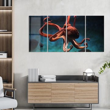 DEQORI Glasbild 'Oktopus im Wasser', 'Oktopus im Wasser', Glas Wandbild Bild schwebend modern
