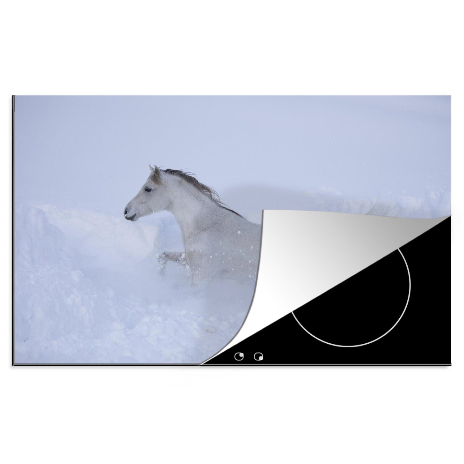 MuchoWow Herdblende-/Abdeckplatte Pferd - Araber - Weiß - Schnee, Vinyl, (1 tlg), 81x52 cm, Induktionskochfeld Schutz für die küche, Ceranfeldabdeckung