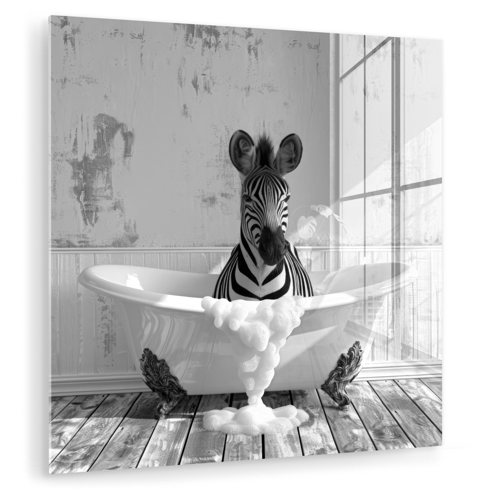 MuchoWow Acrylglasbild Zebra - Wildlife - günstig online kaufen
