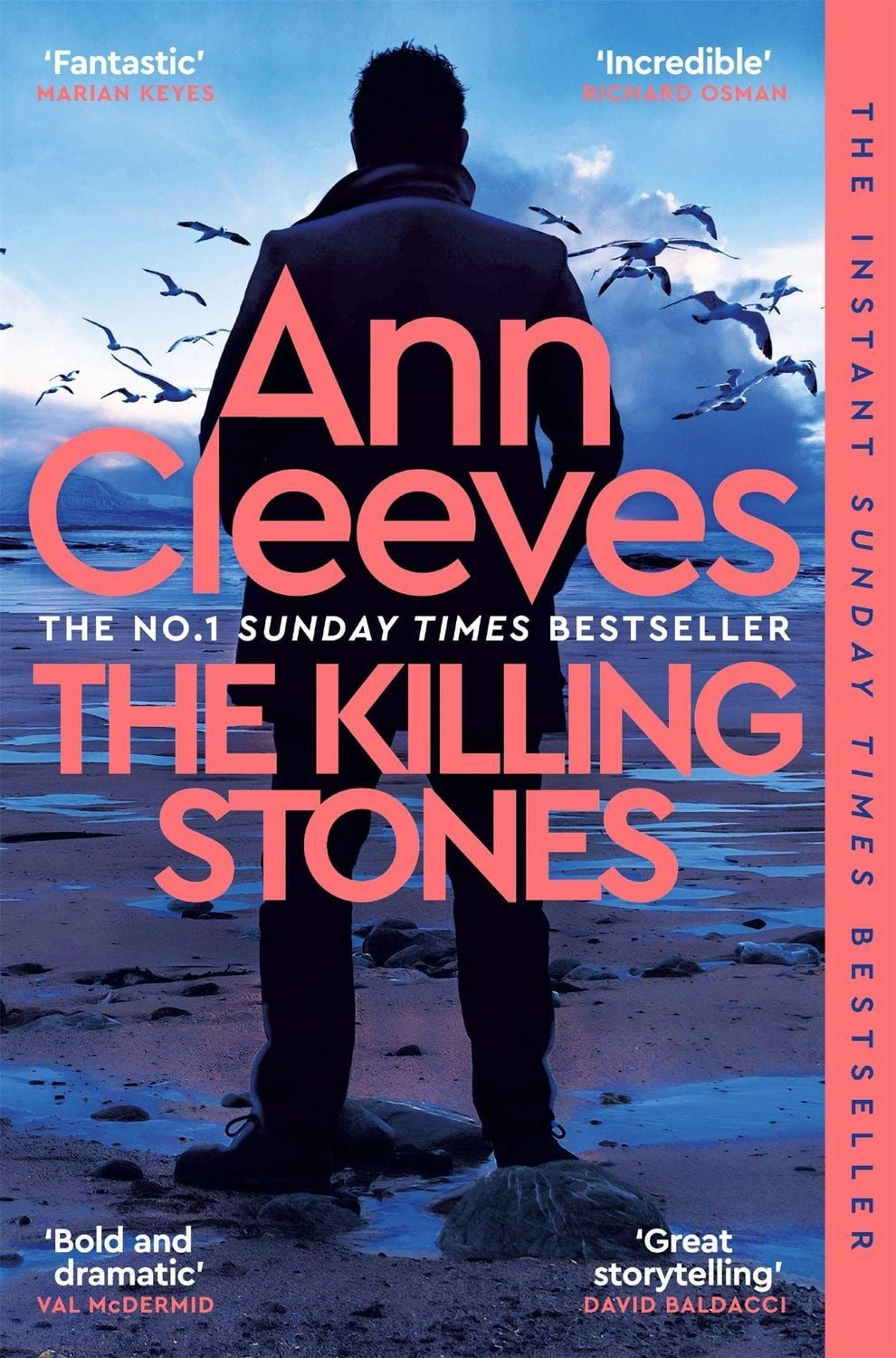 The Killing Stones / Ann Cleeves