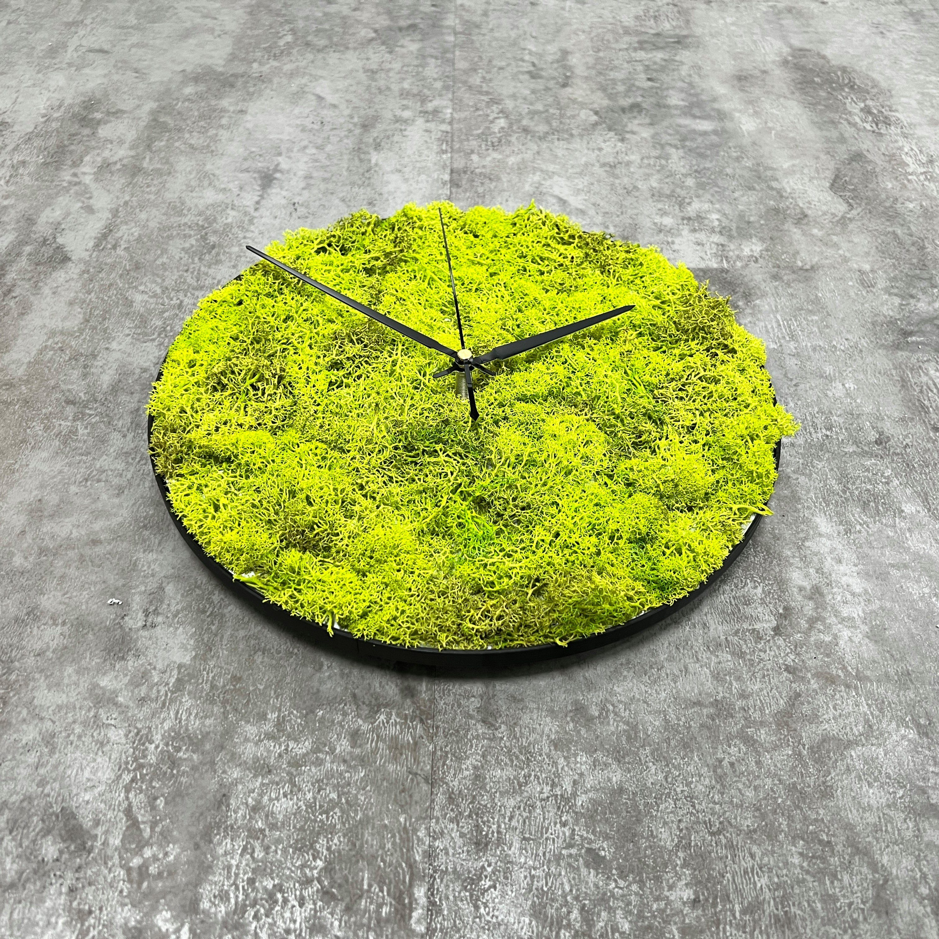 dixtime Wanduhr dixtime Islandmoos Wanduhr 30cm Durchmesser Springgrün (Imm günstig online kaufen