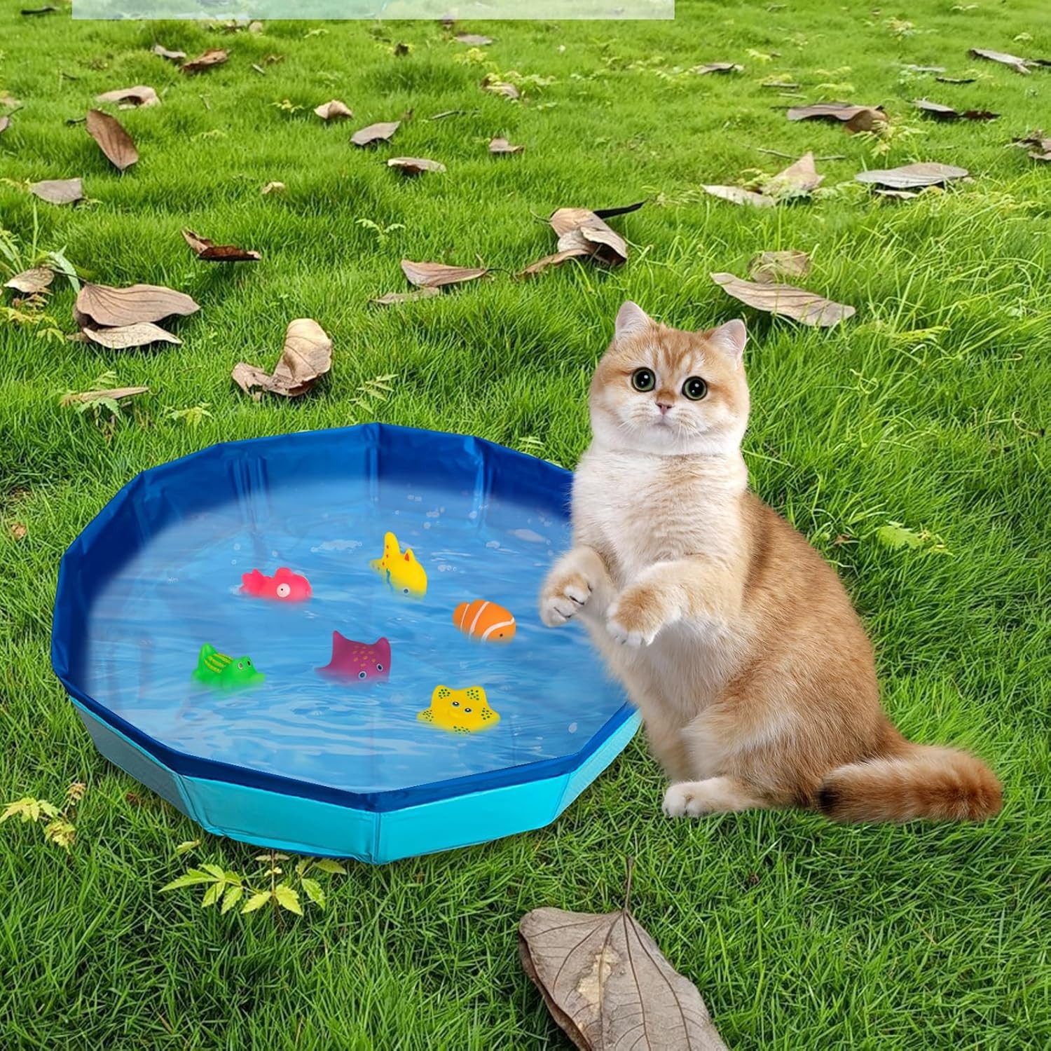 FOUORTUNATE-BEE Hundepool Faltbarer Haustierpool mit 6 Fischen für Katzen und Hunde, Mini-Schwimmbecken für Katzen und Hunde – ideal im Sommer