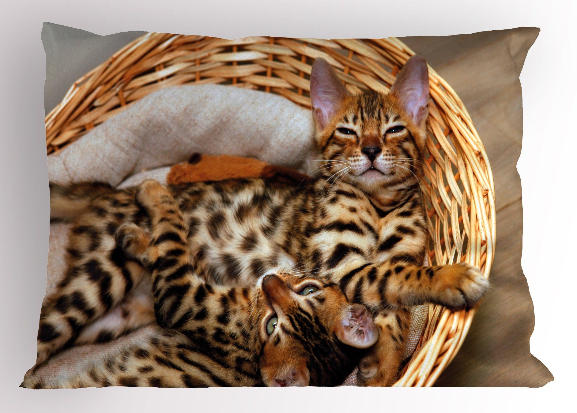 Kissenbezüge Dekorativer Standard King Size Gedruckter Kissenbezug, Abakuhaus (1 Stück), Kätzchen Bengal-Katzen im Korb